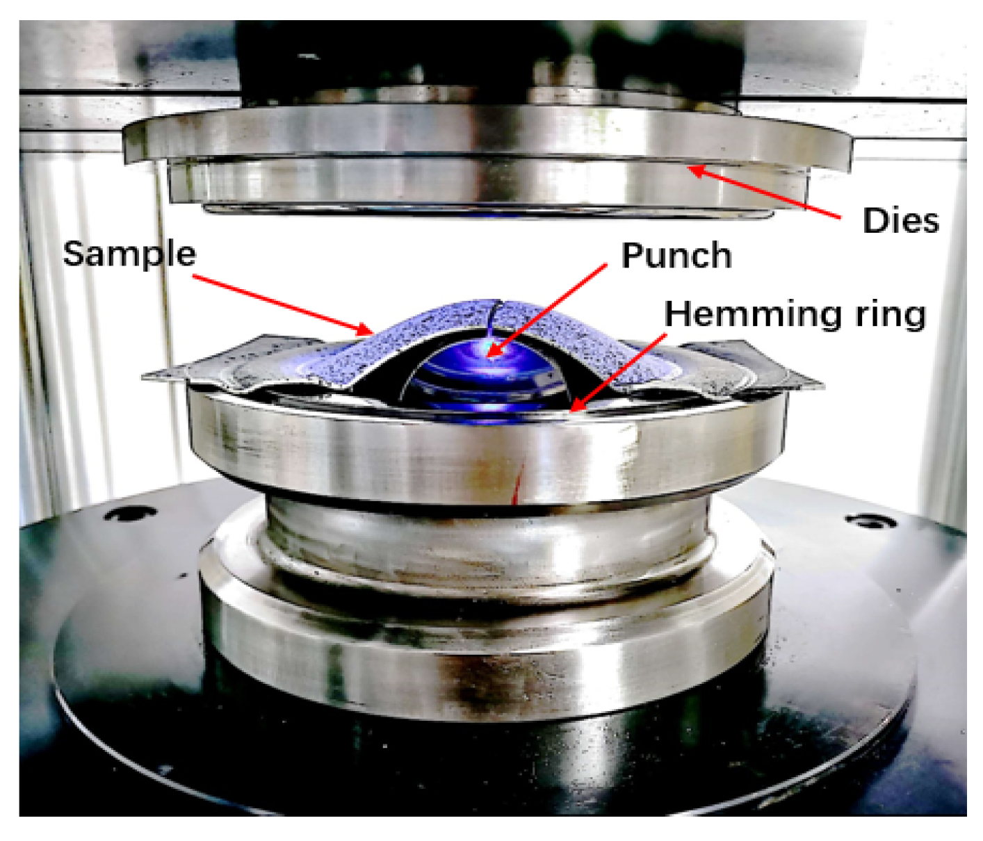Coatings 14 00765 g006