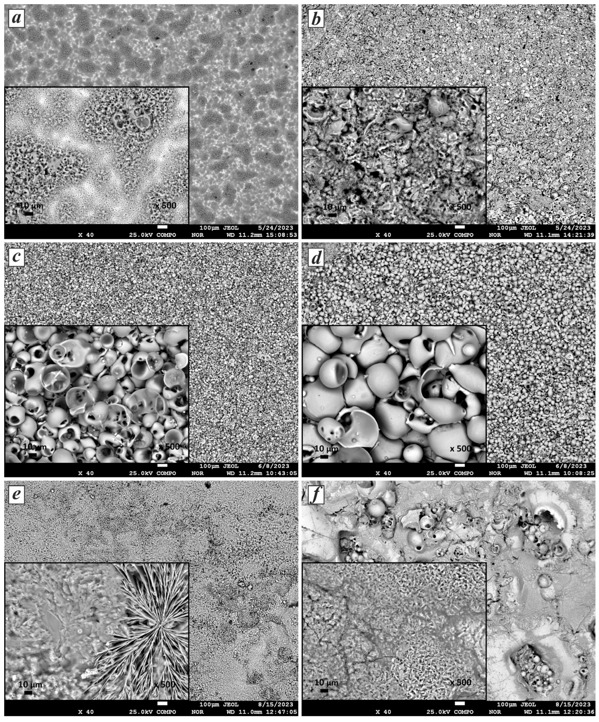 Coatings 14 00766 g003