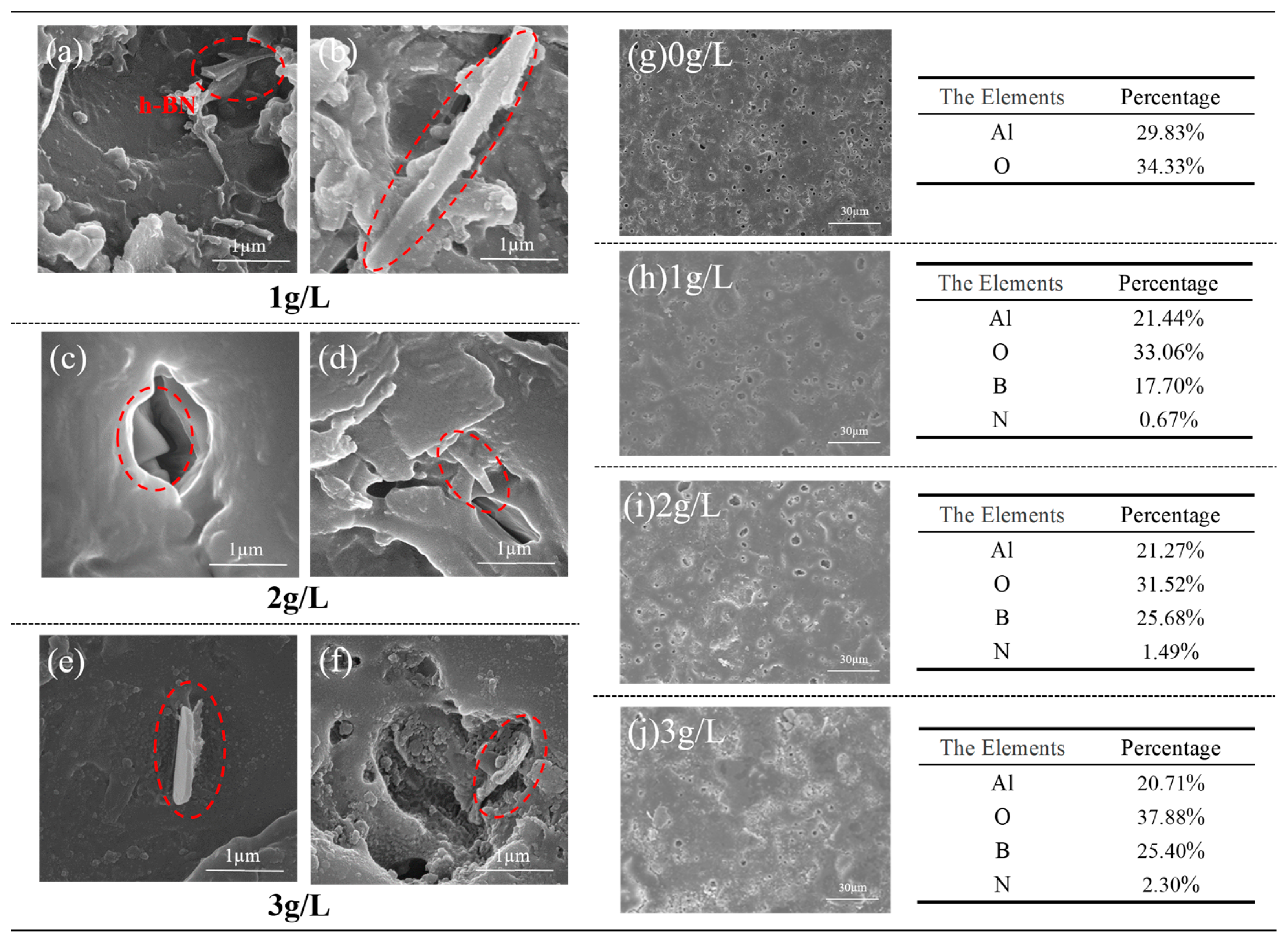 Coatings 14 00771 g005 Coatings 14 00771 g005