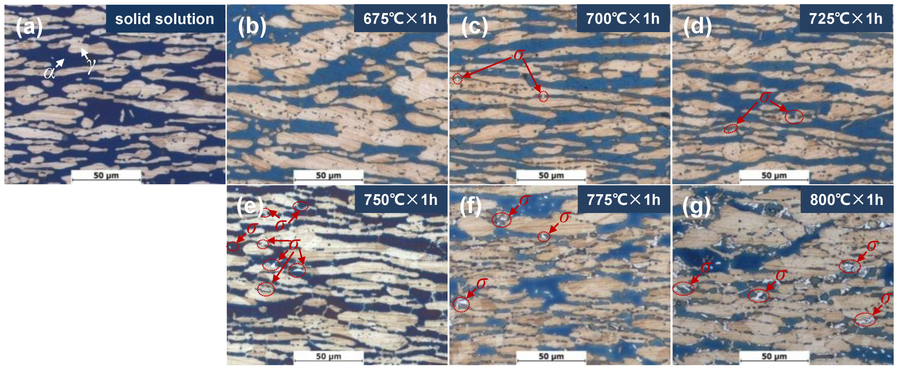 Coatings 14 00776 g001