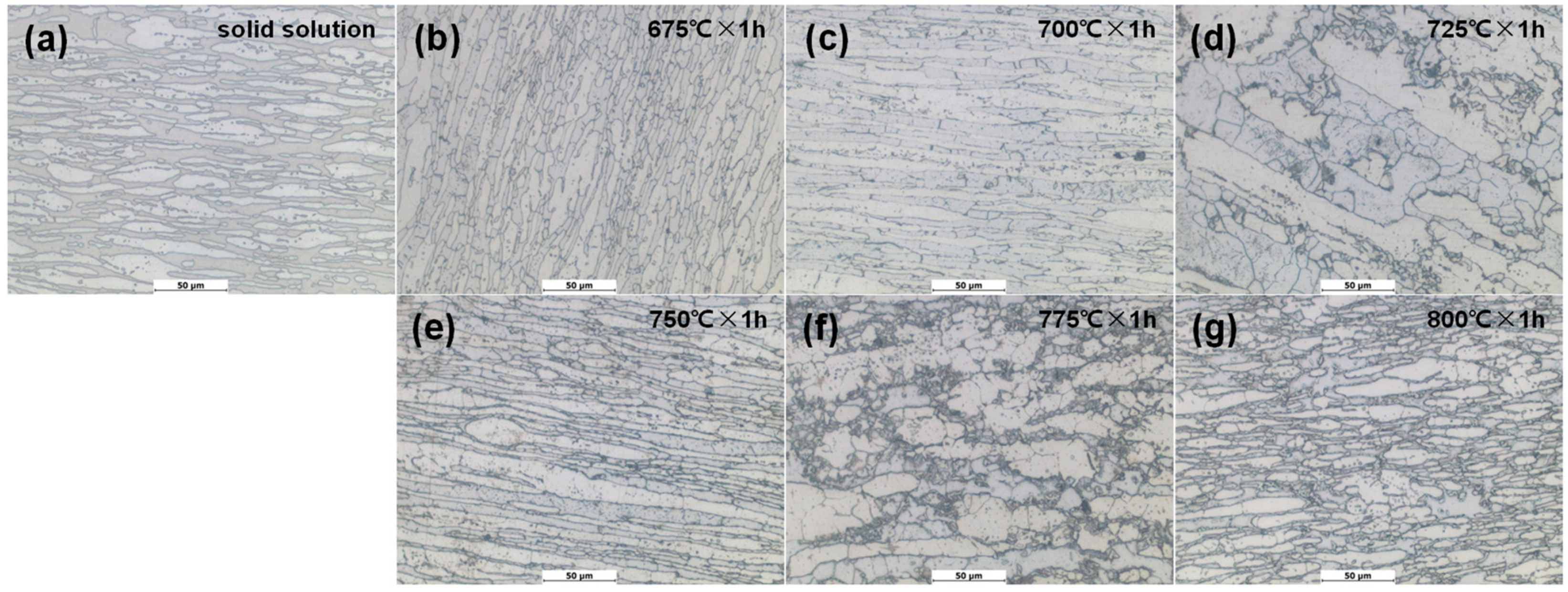 Coatings 14 00776 g004