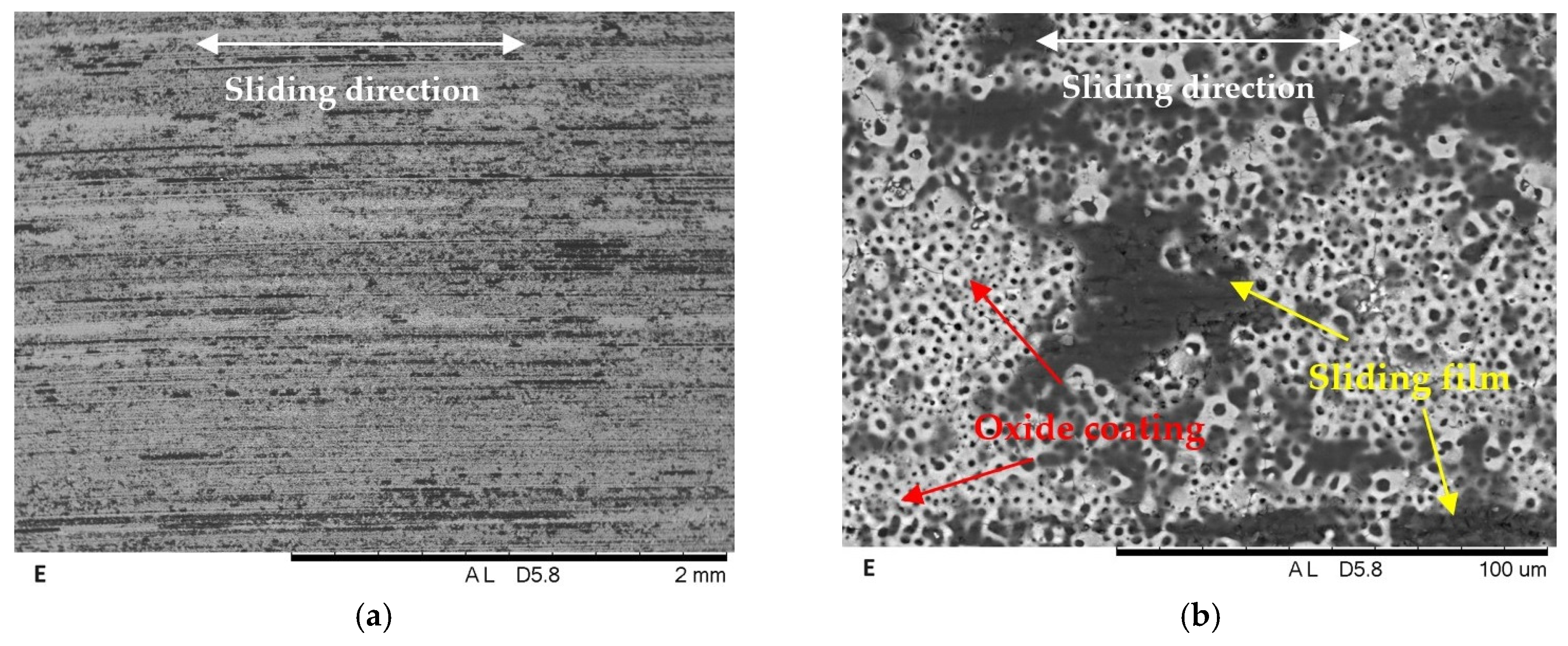 Coatings 14 00780 g003