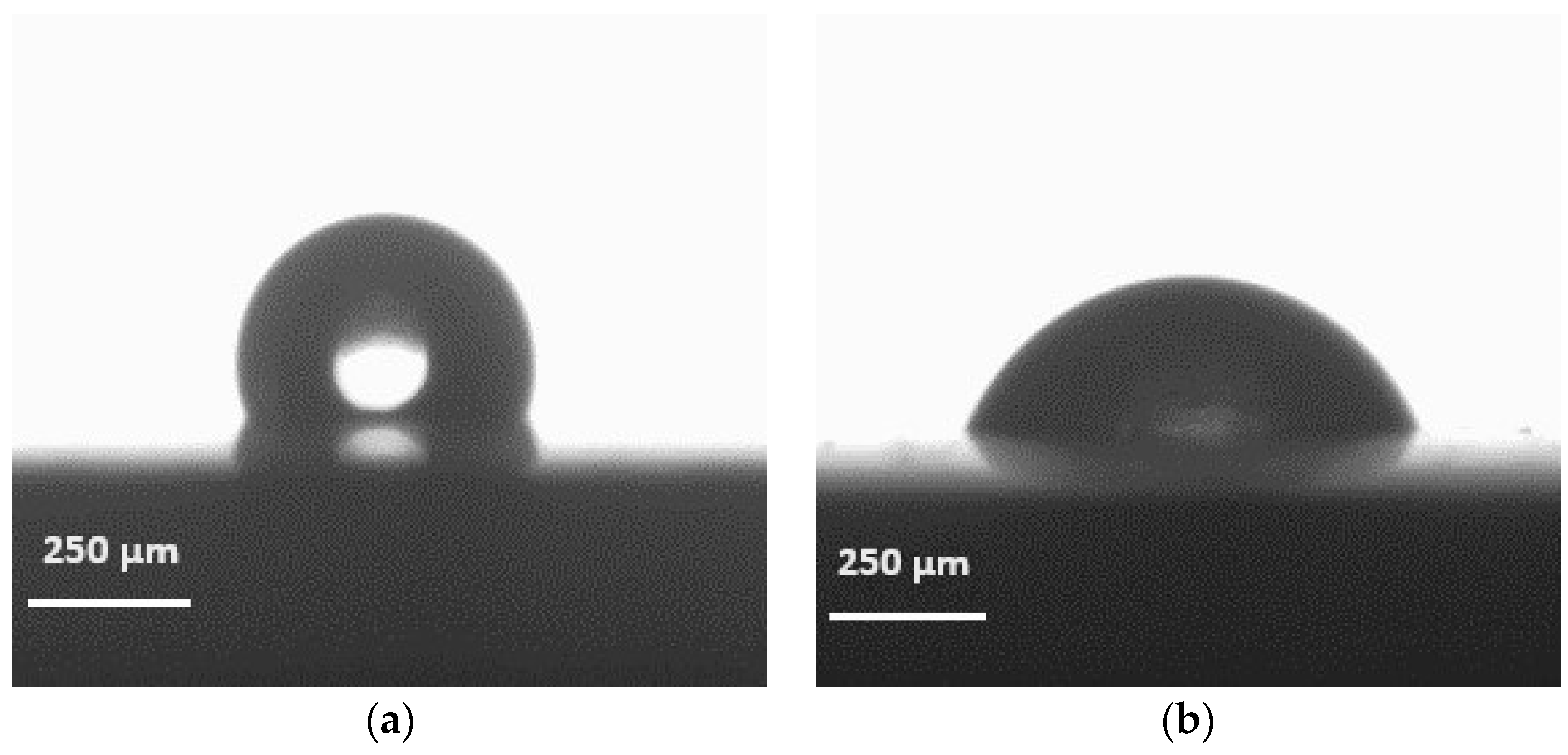 Coatings 14 00780 g014