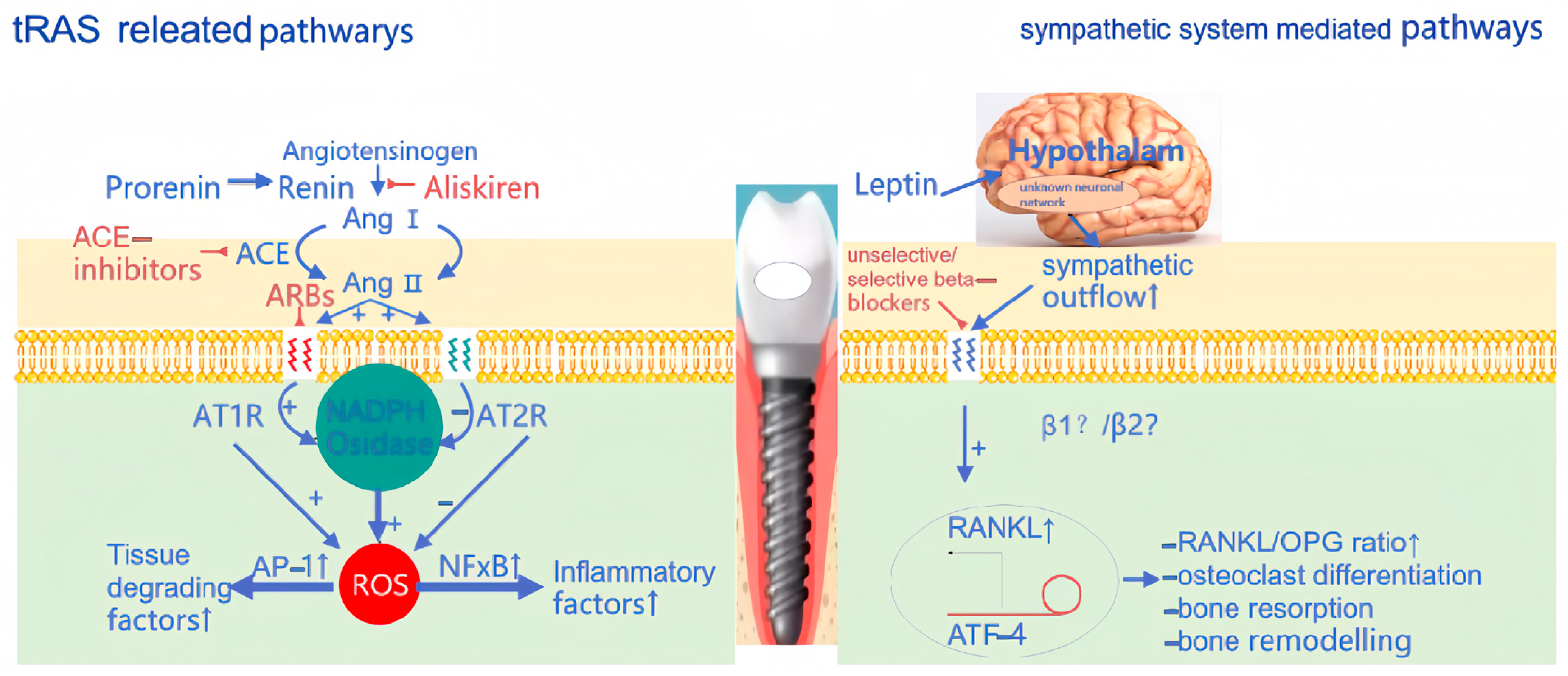 Coatings 14 00781 g006 Coatings 14 00781 g006