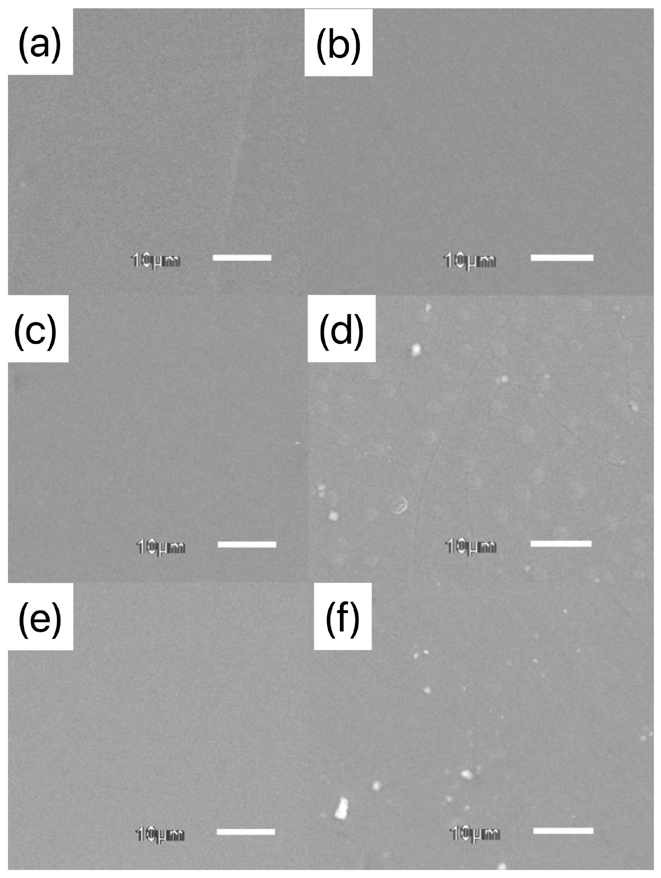 Coatings 14 00782 g002a
