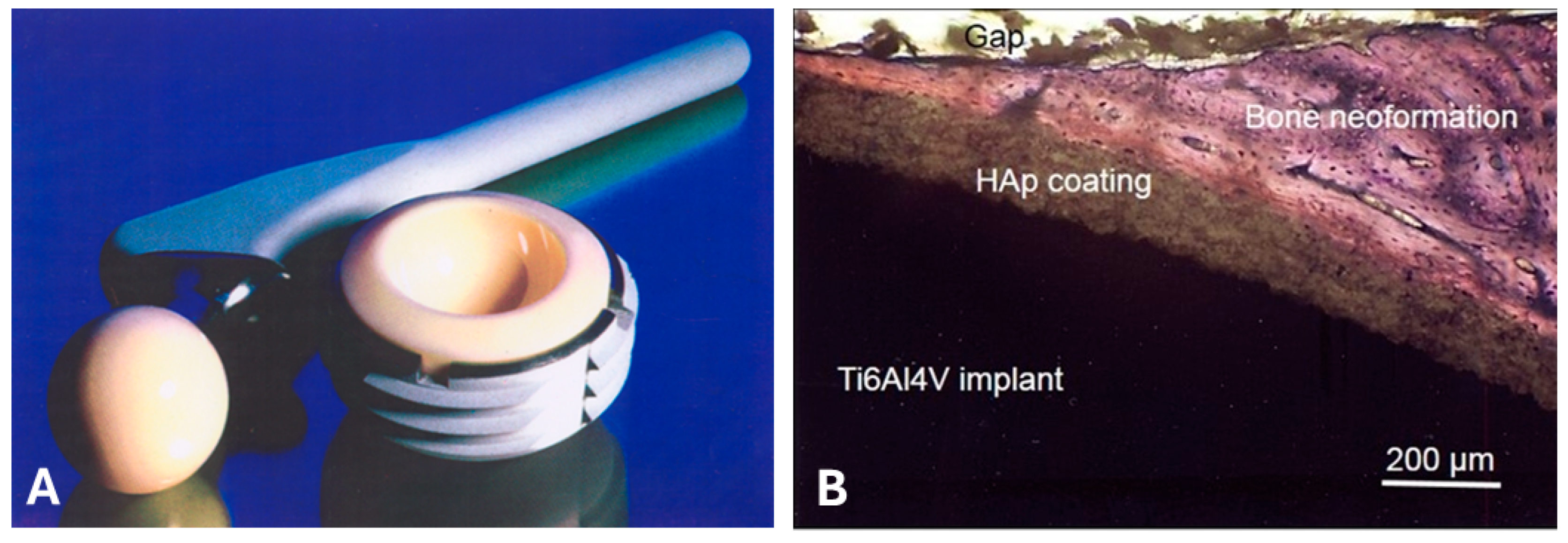 Coatings 14 00787 g001