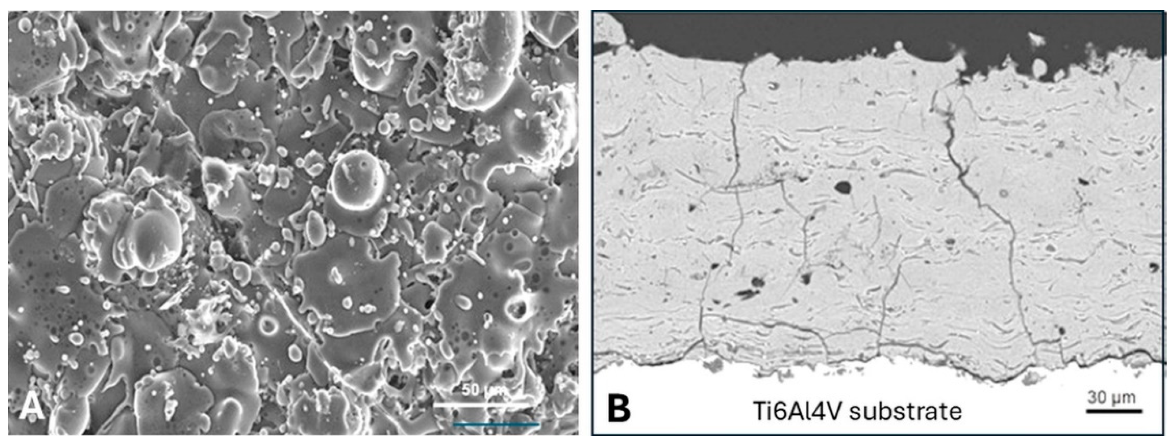 Coatings 14 00787 g005