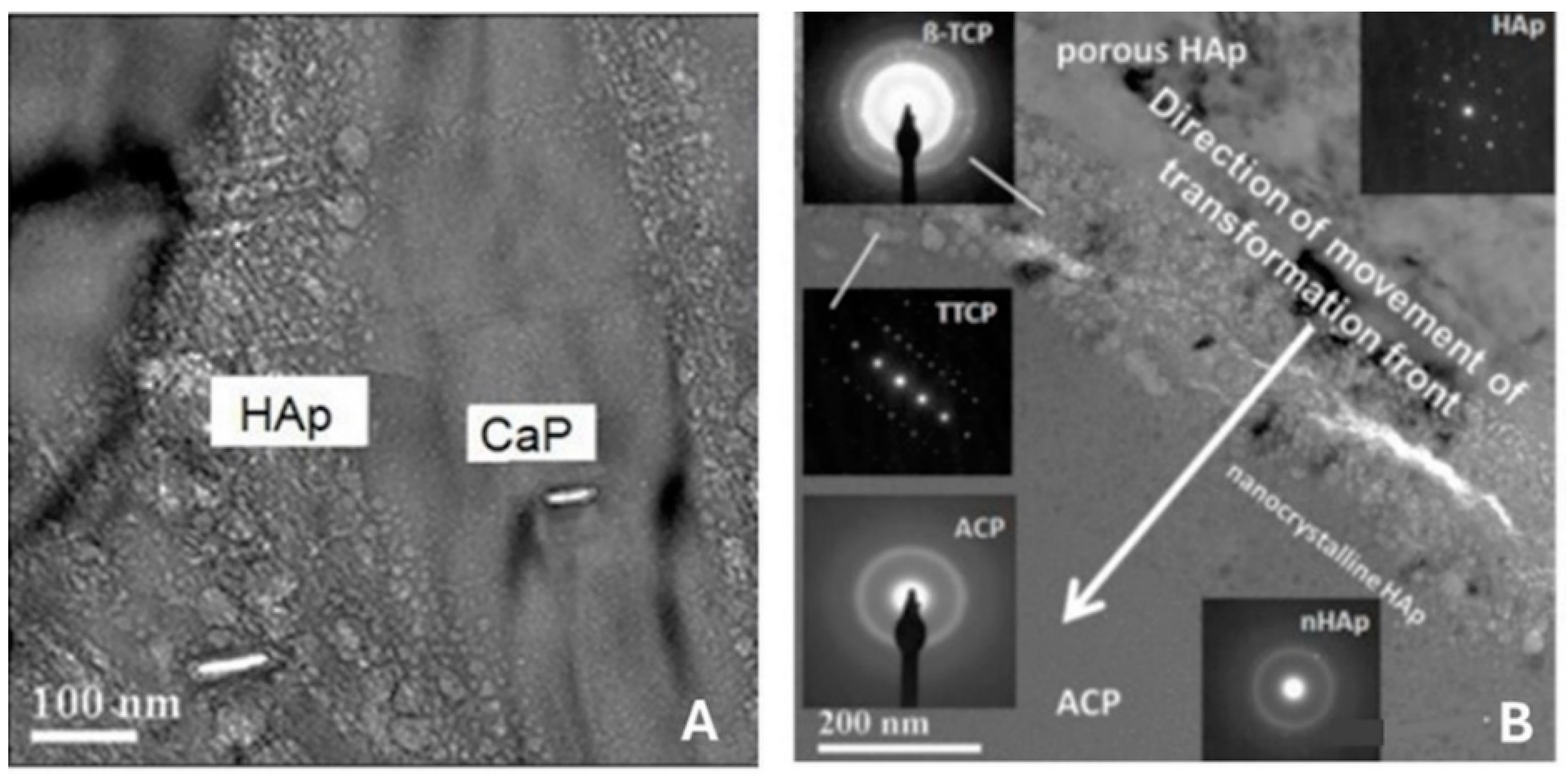 Coatings 14 00787 g016