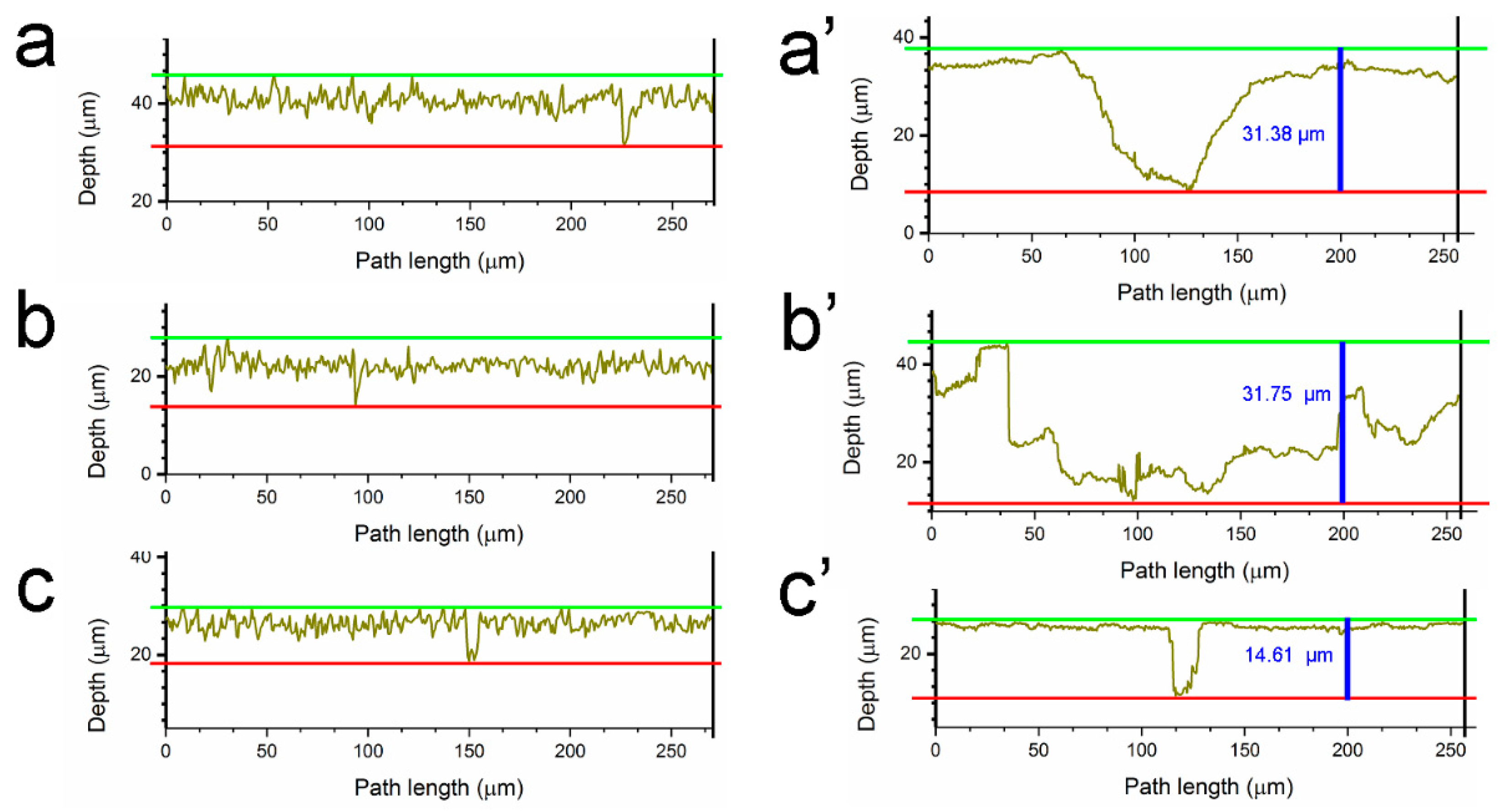 Coatings 14 00788 g005