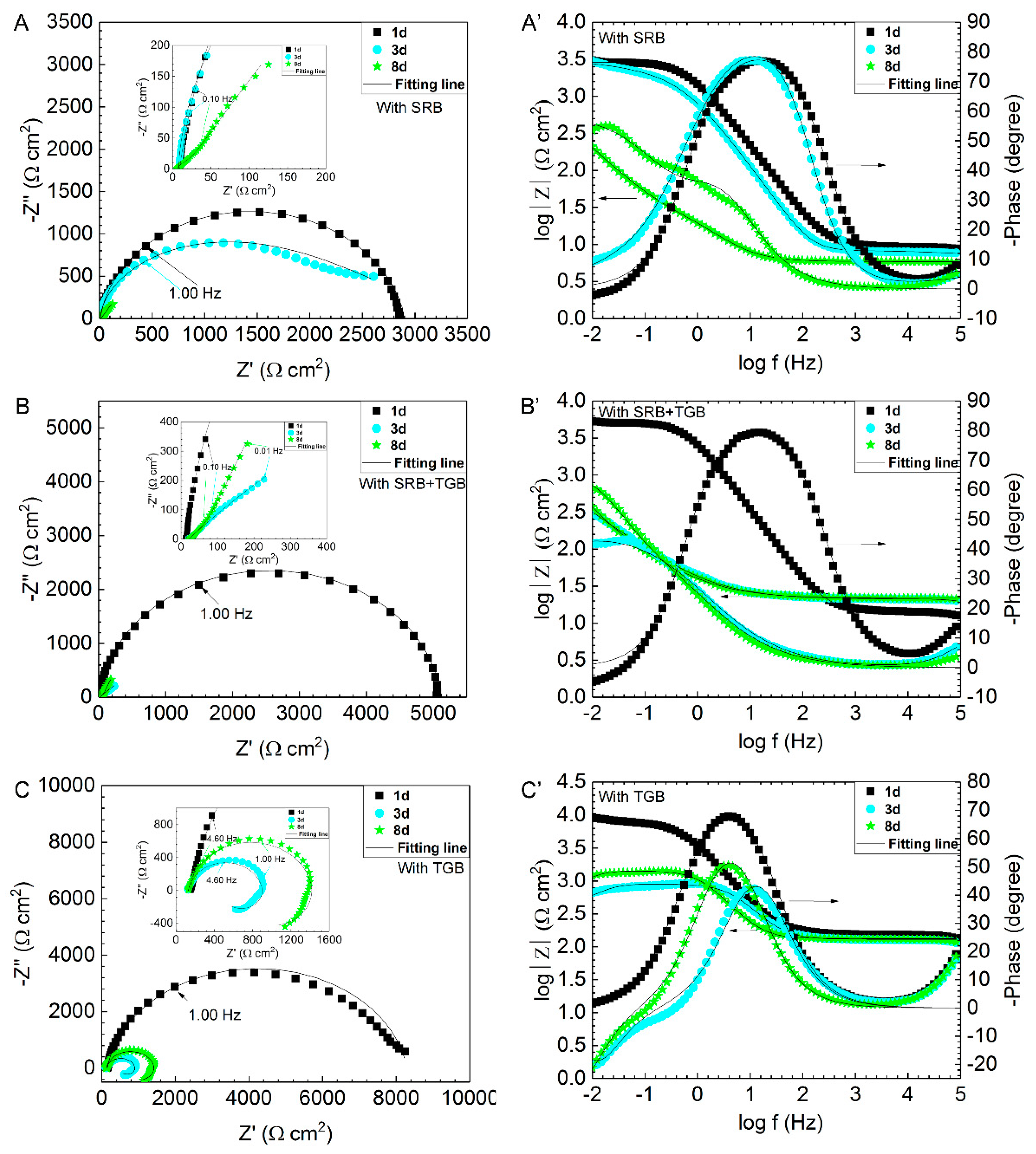 Coatings 14 00788 g009