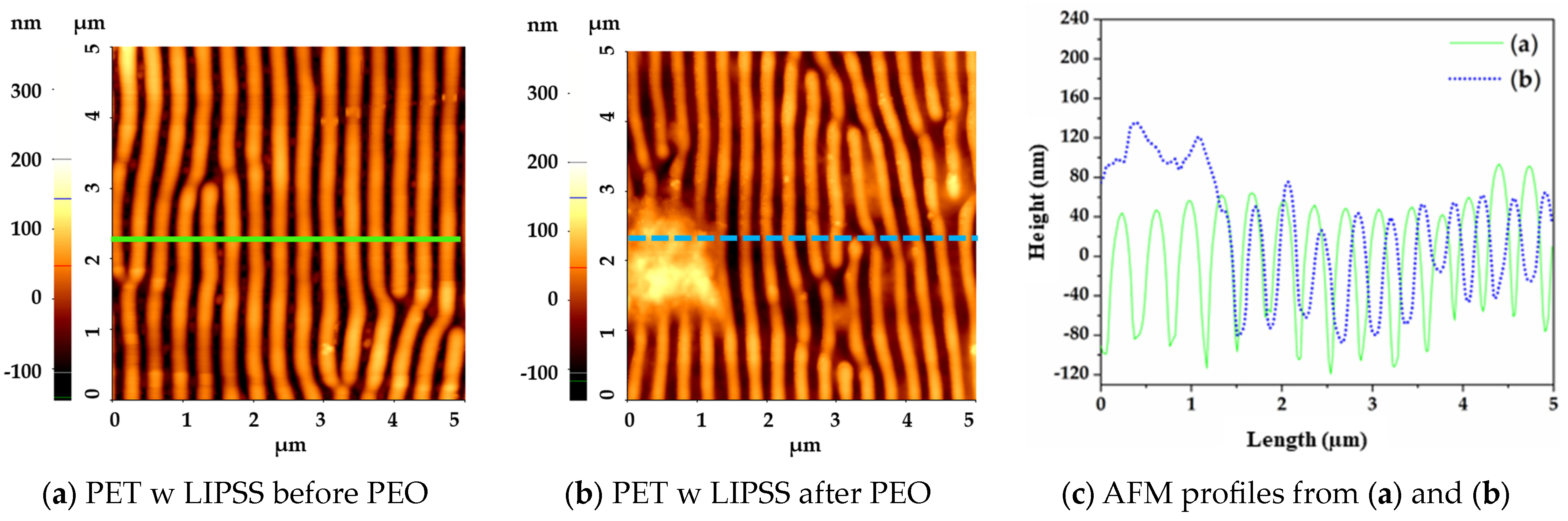 Coatings 14 00790 g003a