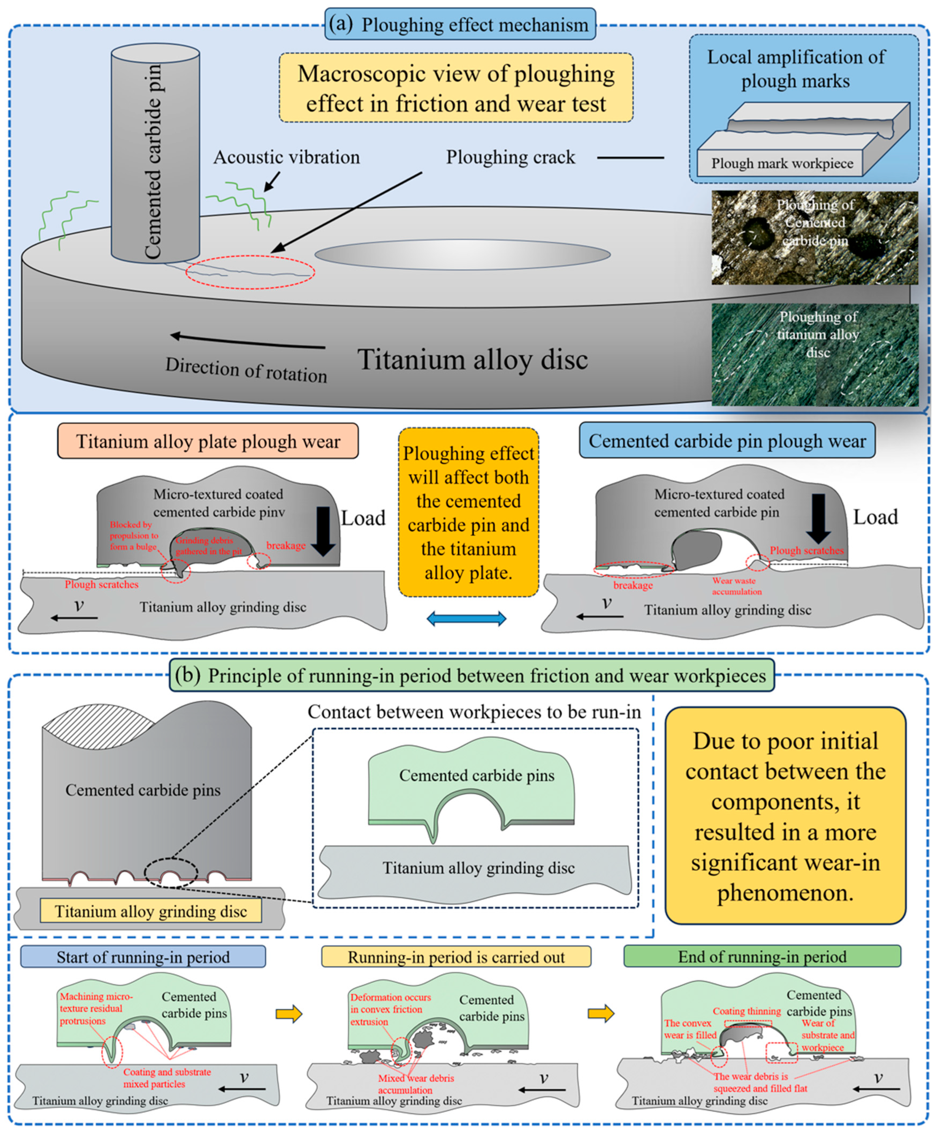 Coatings 14 00791 g013