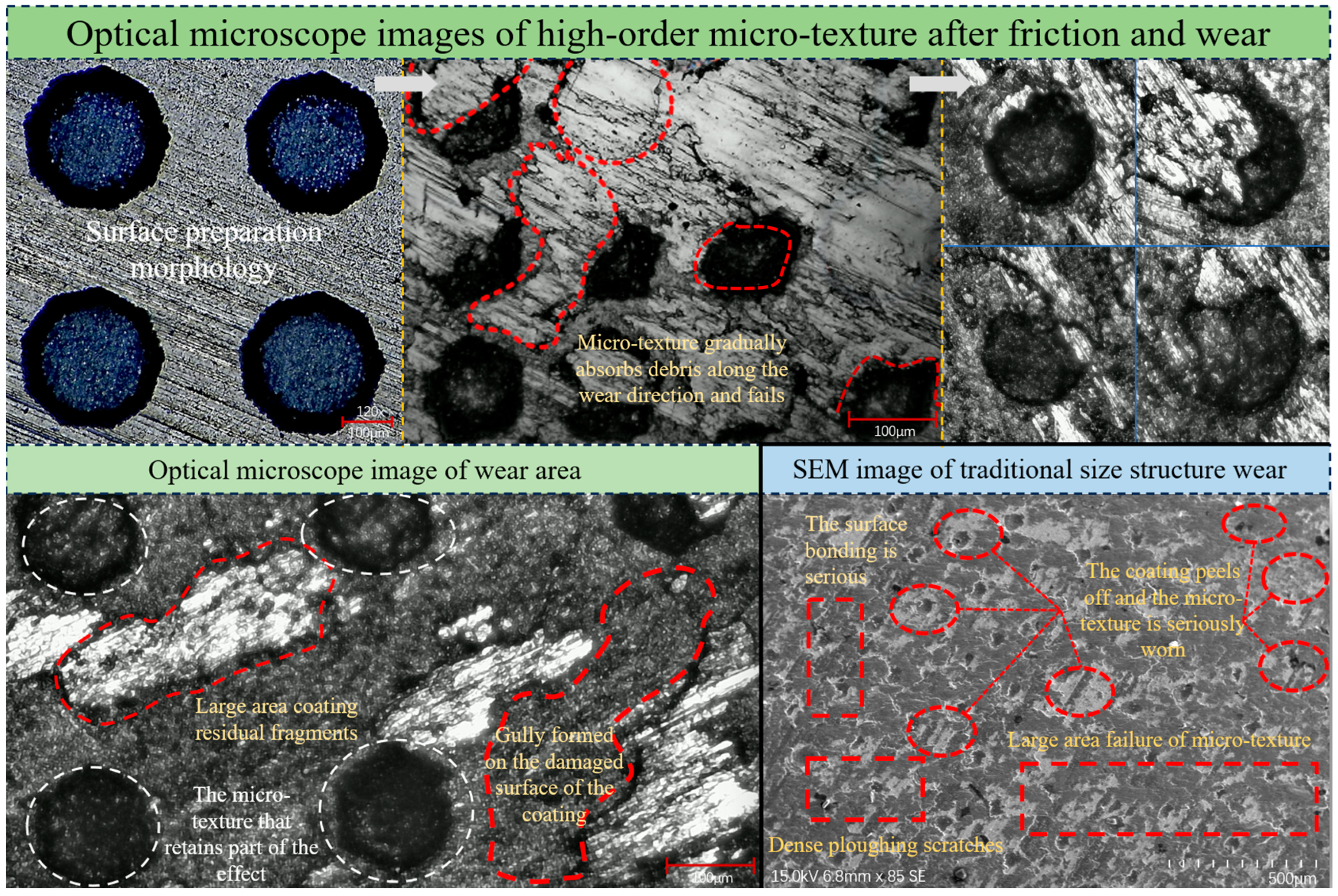 Coatings 14 00791 g017