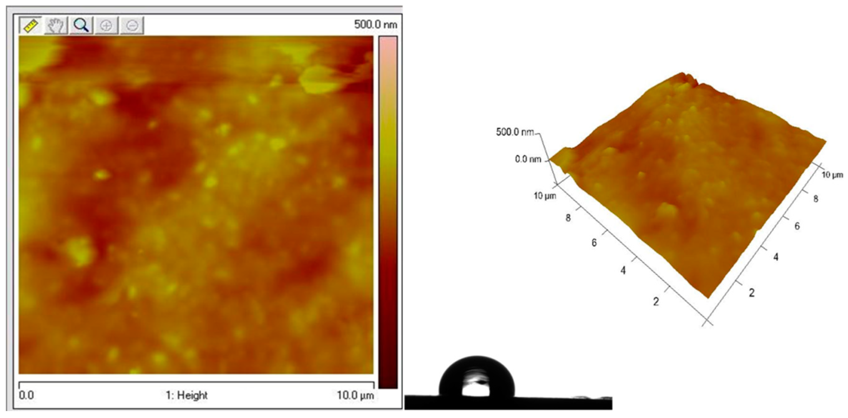 Coatings 14 00792 g010