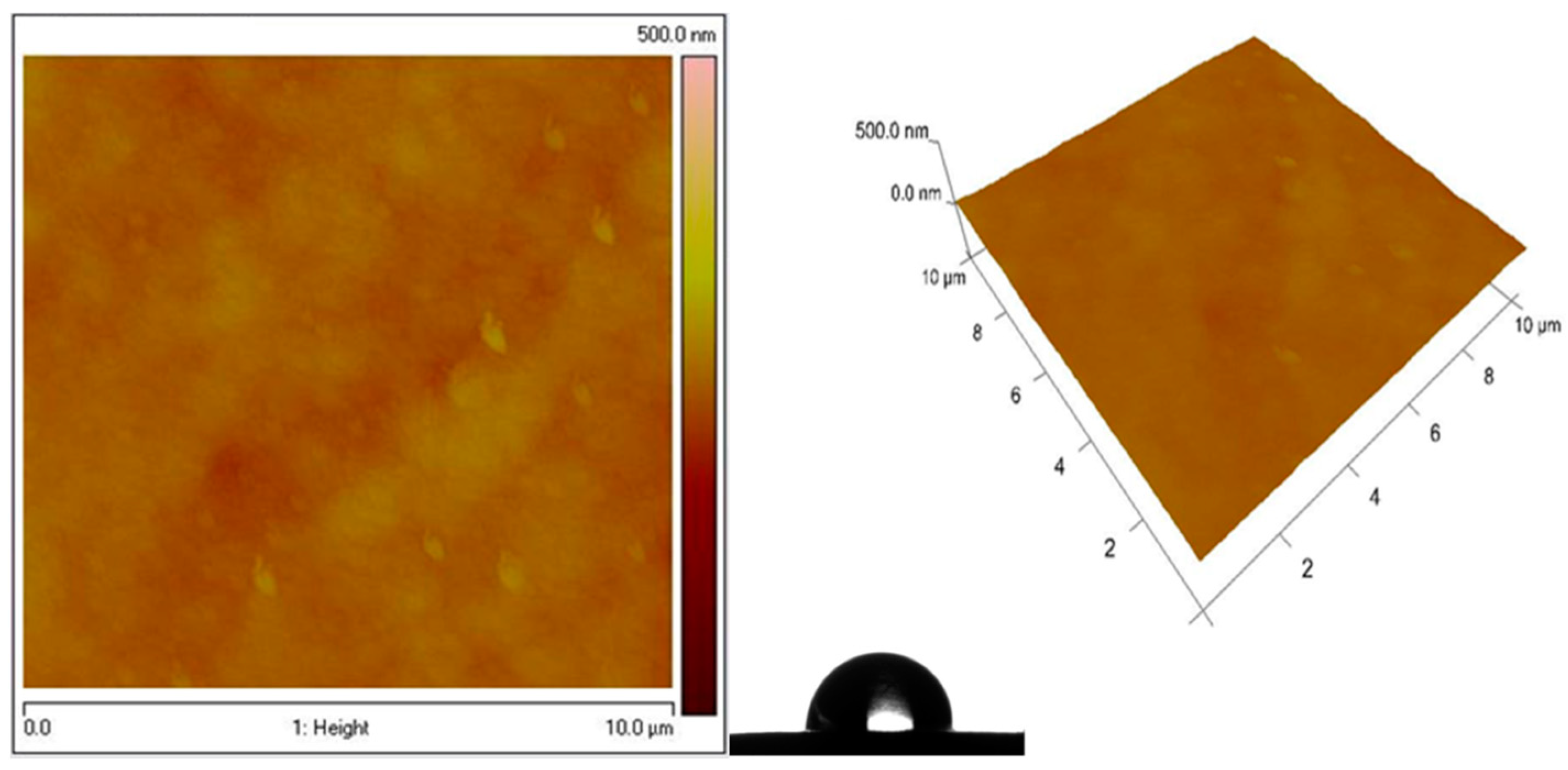 Coatings 14 00792 g011