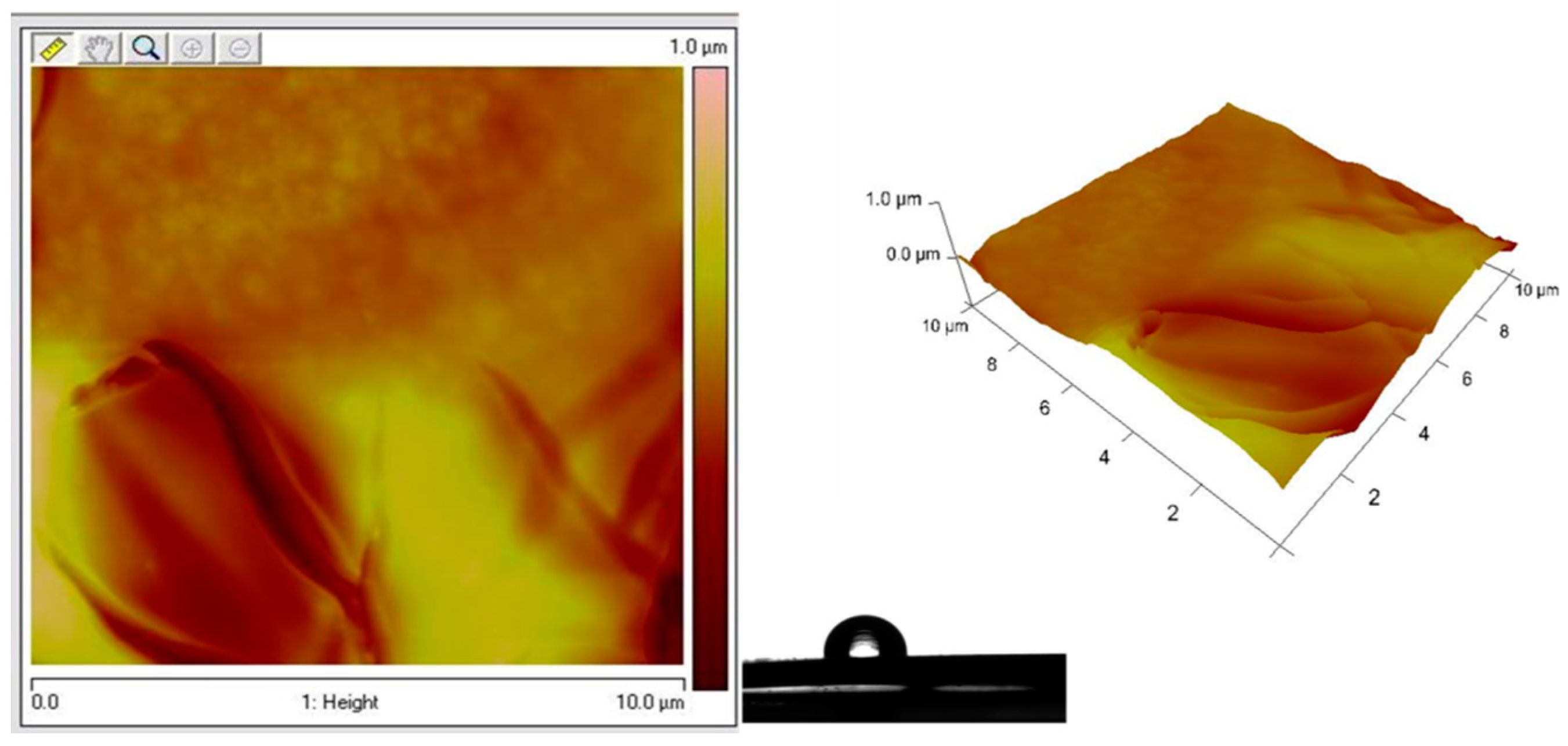 Coatings 14 00792 g012