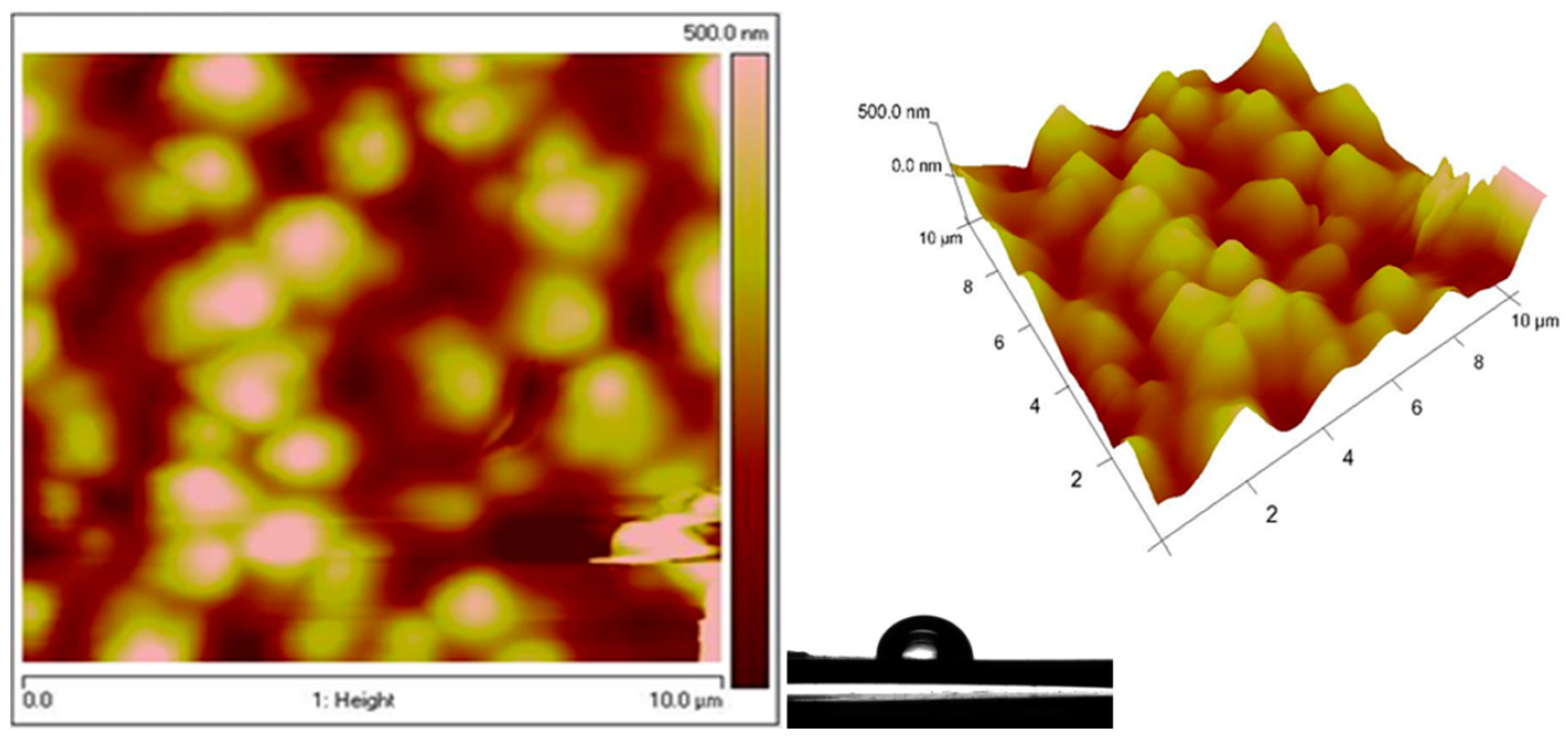Coatings 14 00792 g014
