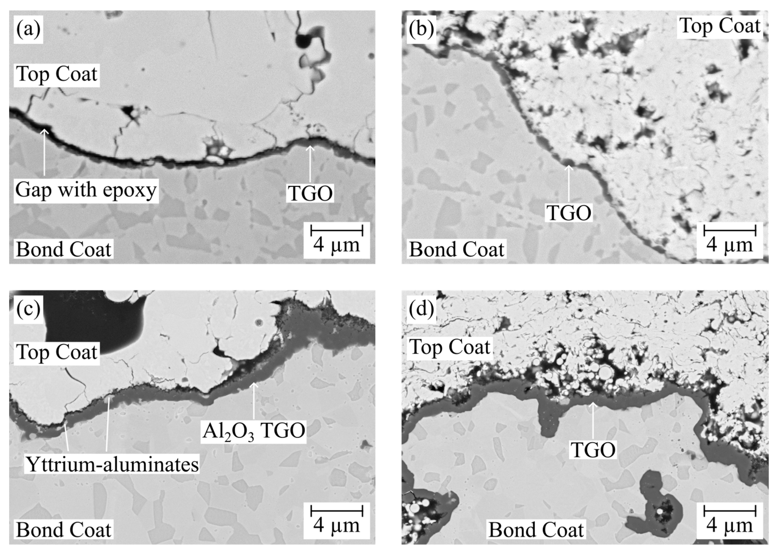 Coatings 14 00793 g001
