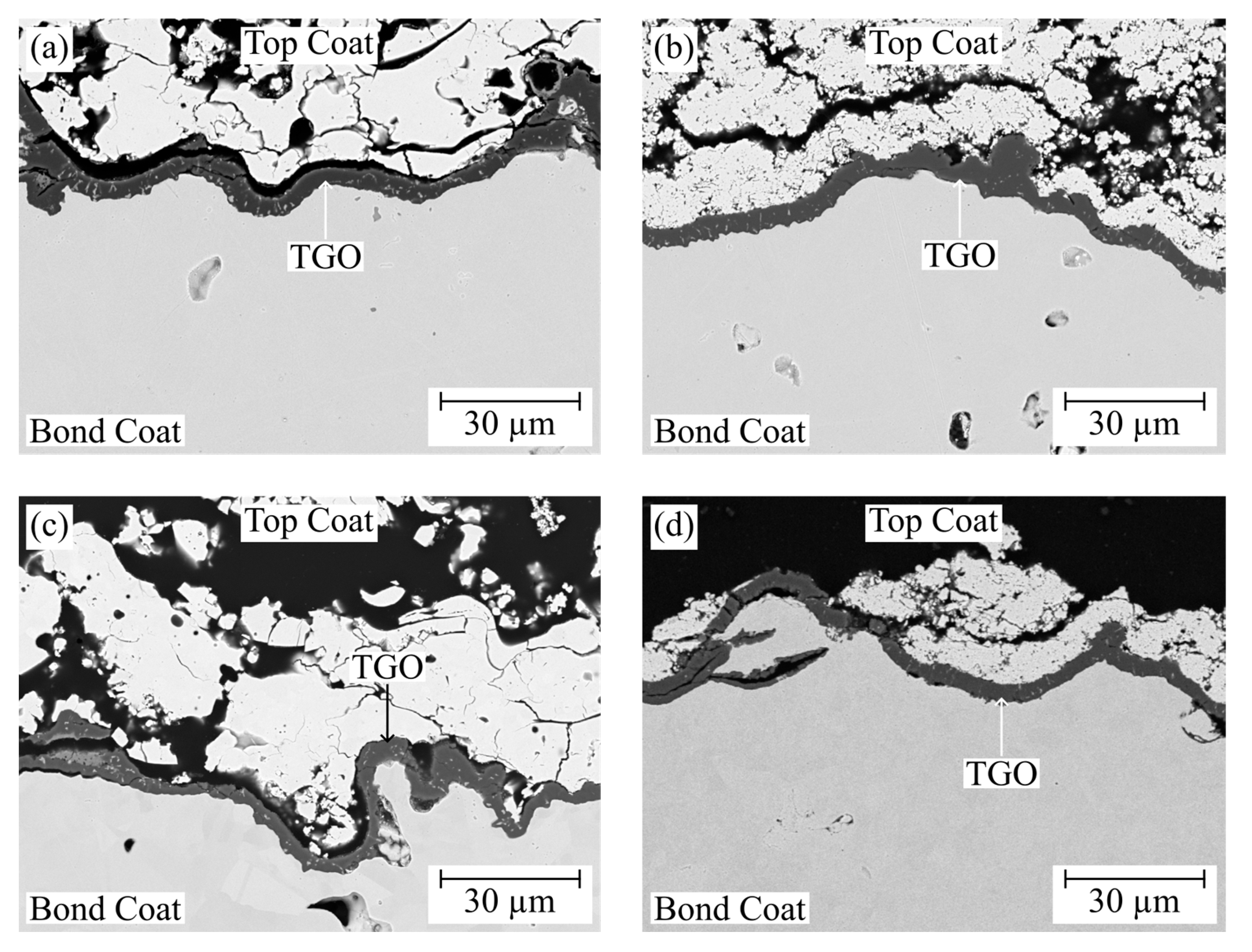 Coatings 14 00793 g006