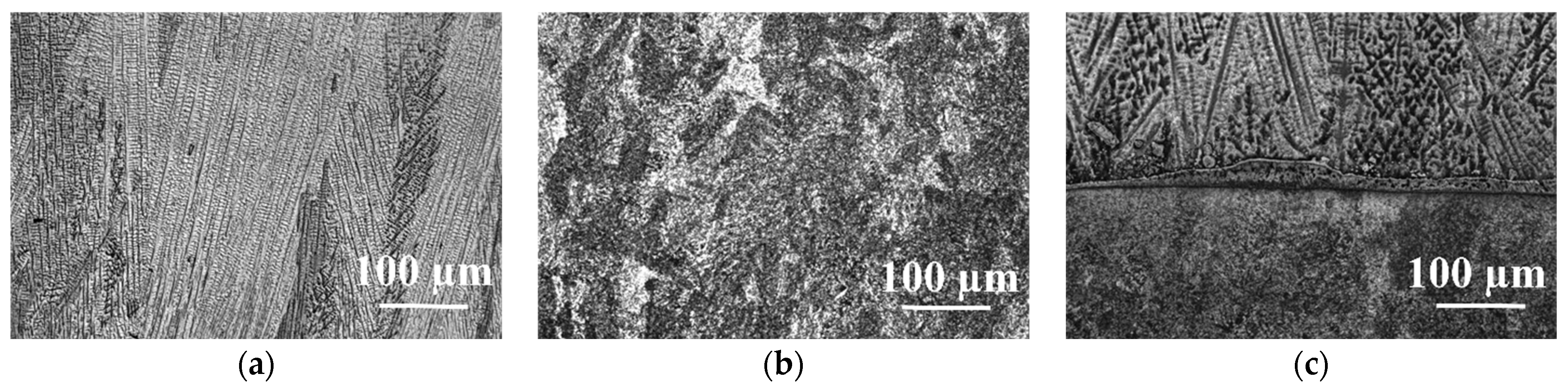 Coatings 14 00803 g004