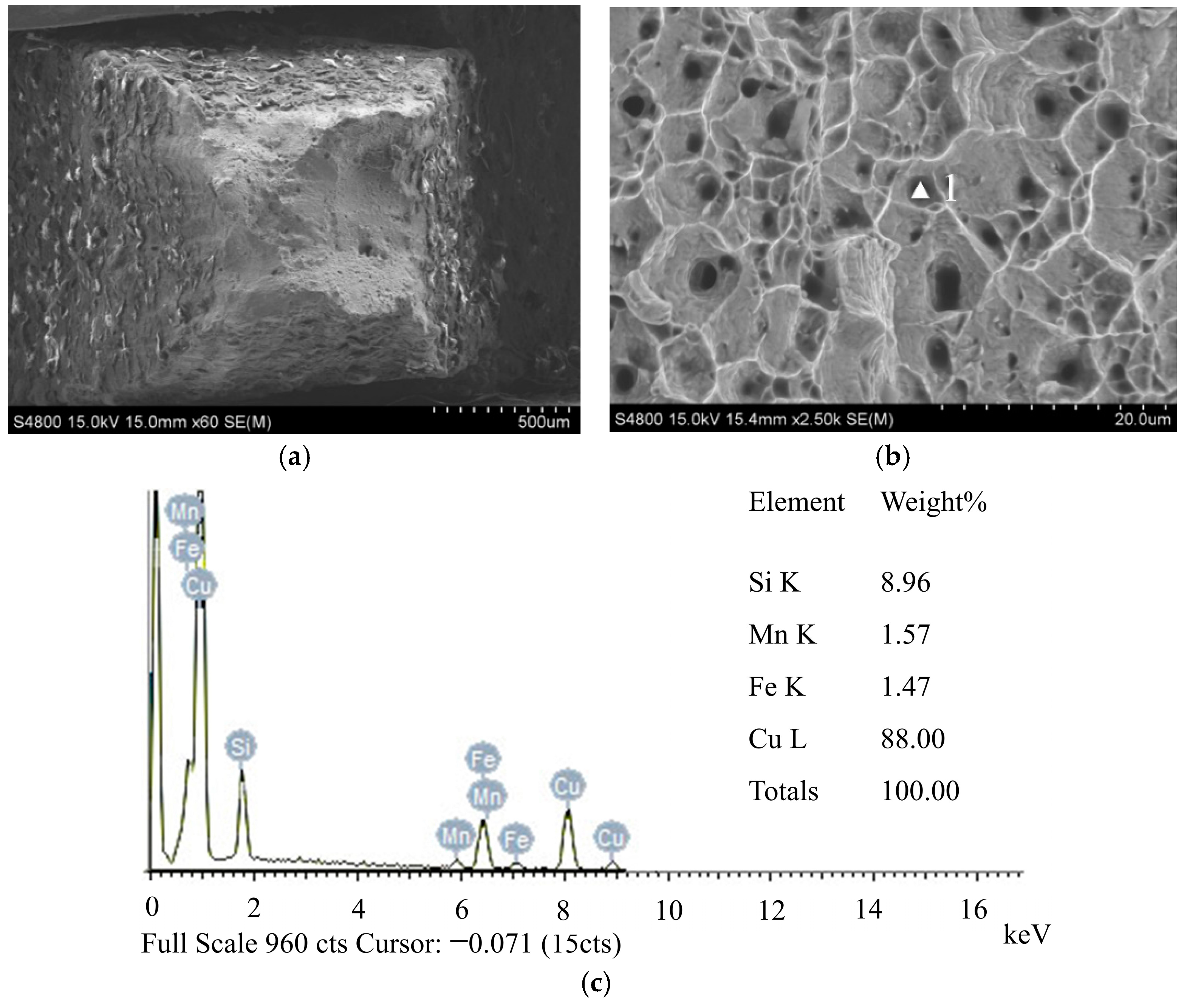 Coatings 14 00803 g011