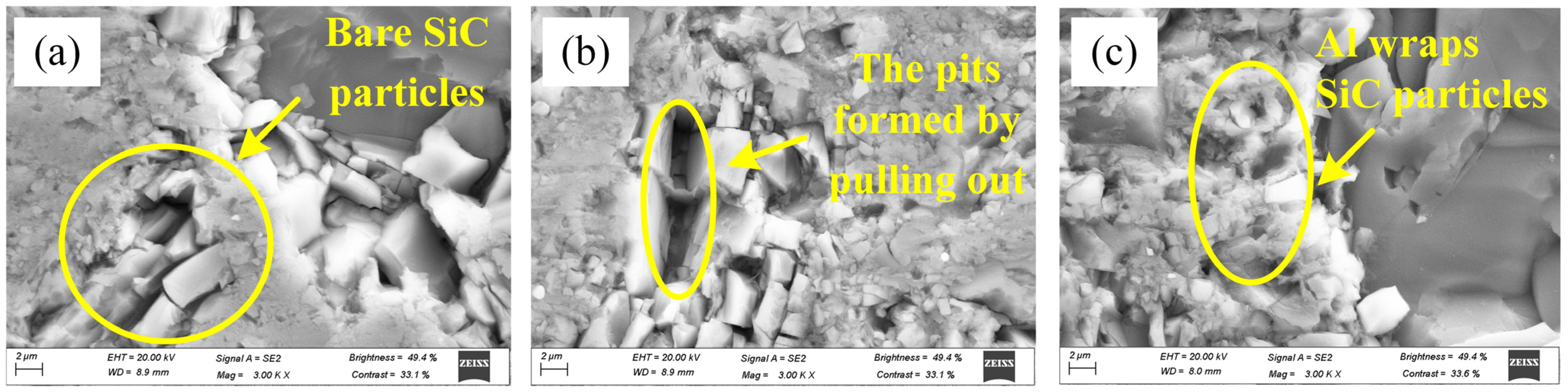 Coatings 14 00804 g004