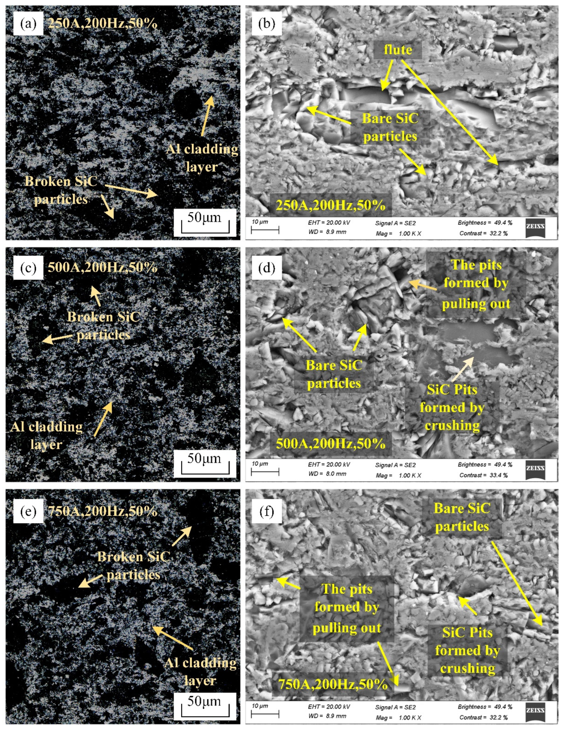 Coatings 14 00804 g007
