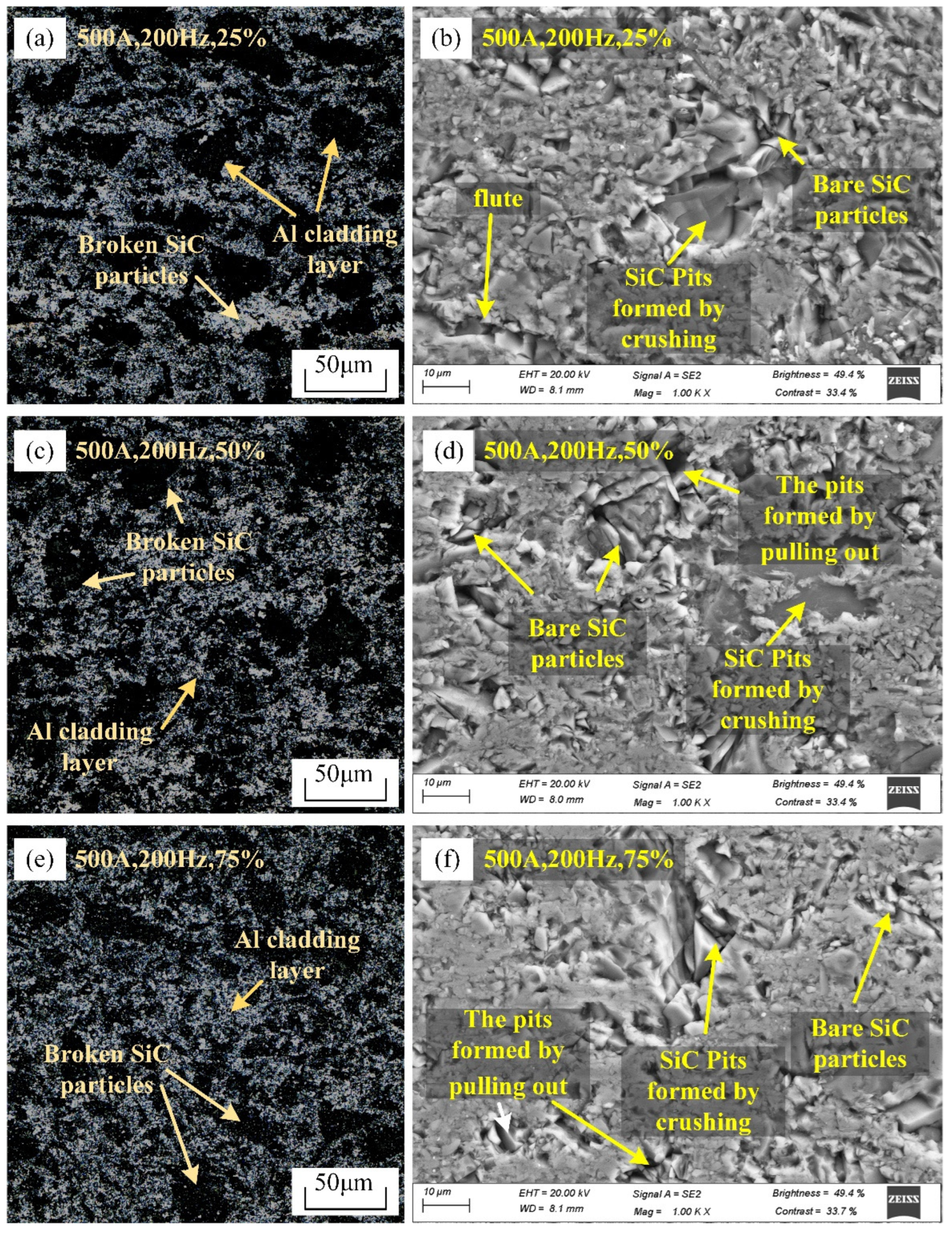Coatings 14 00804 g010