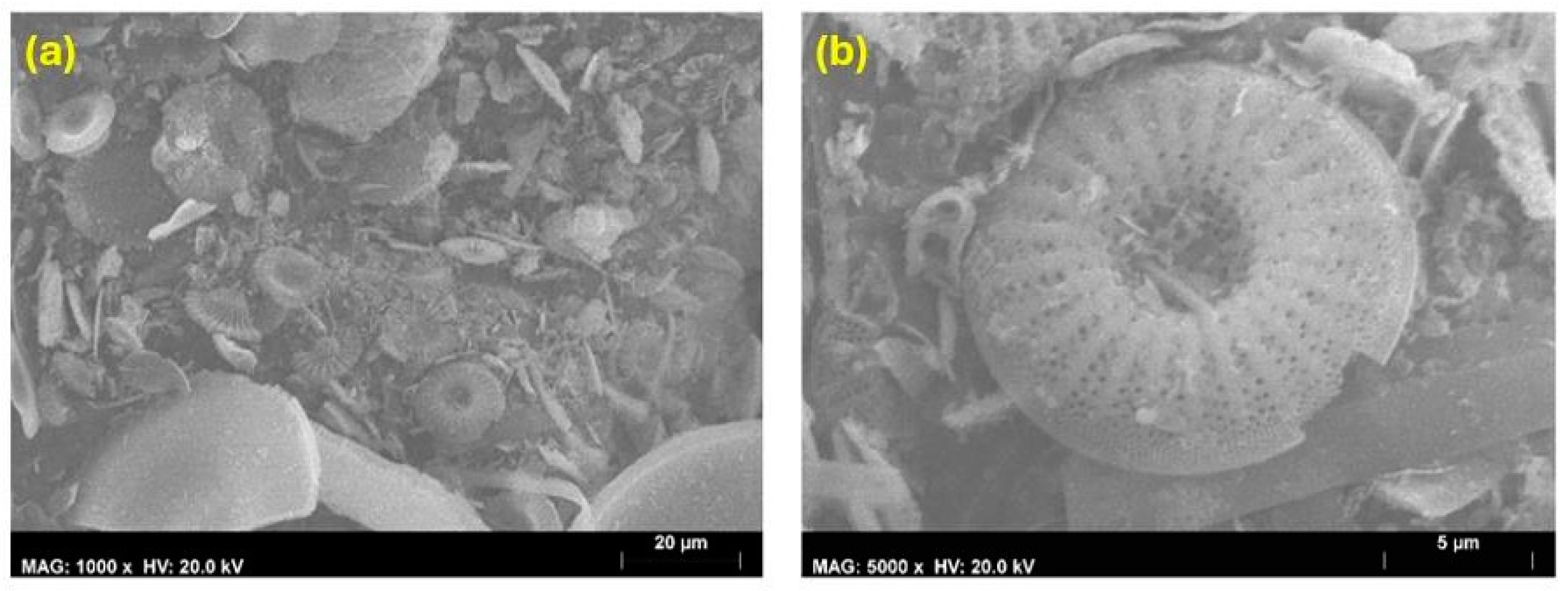 Coatings 14 00805 g008