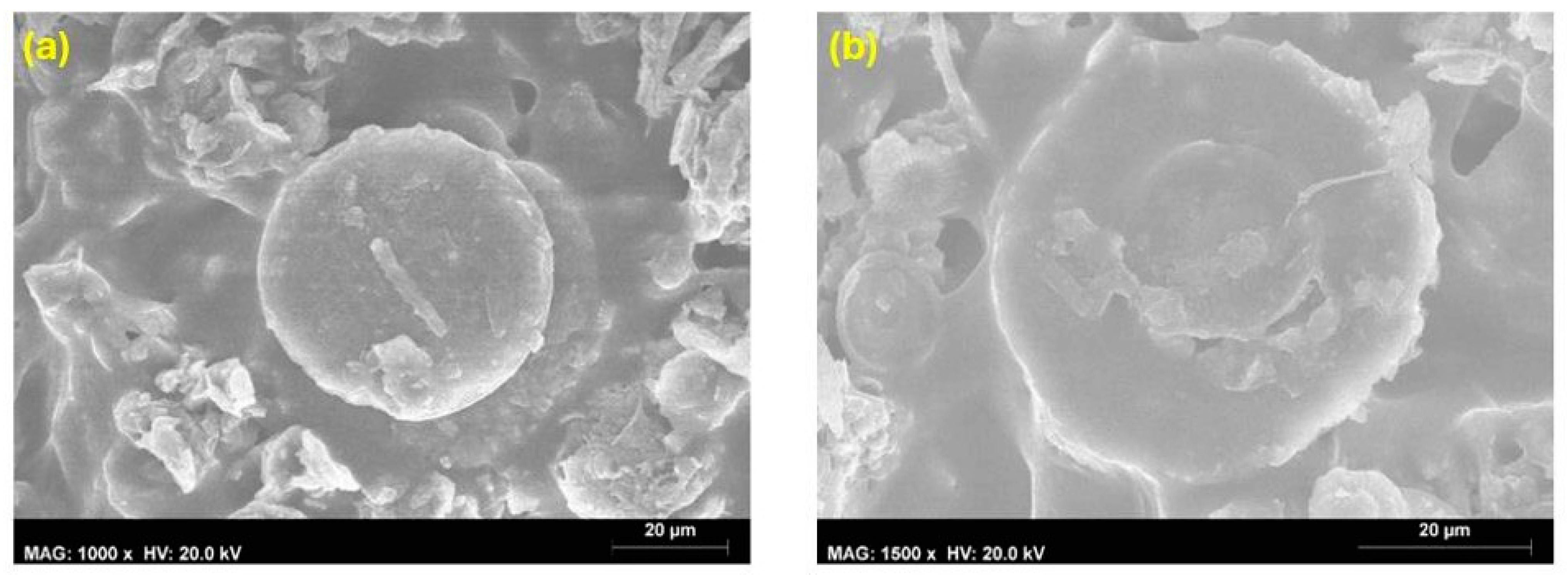 Coatings 14 00805 g011