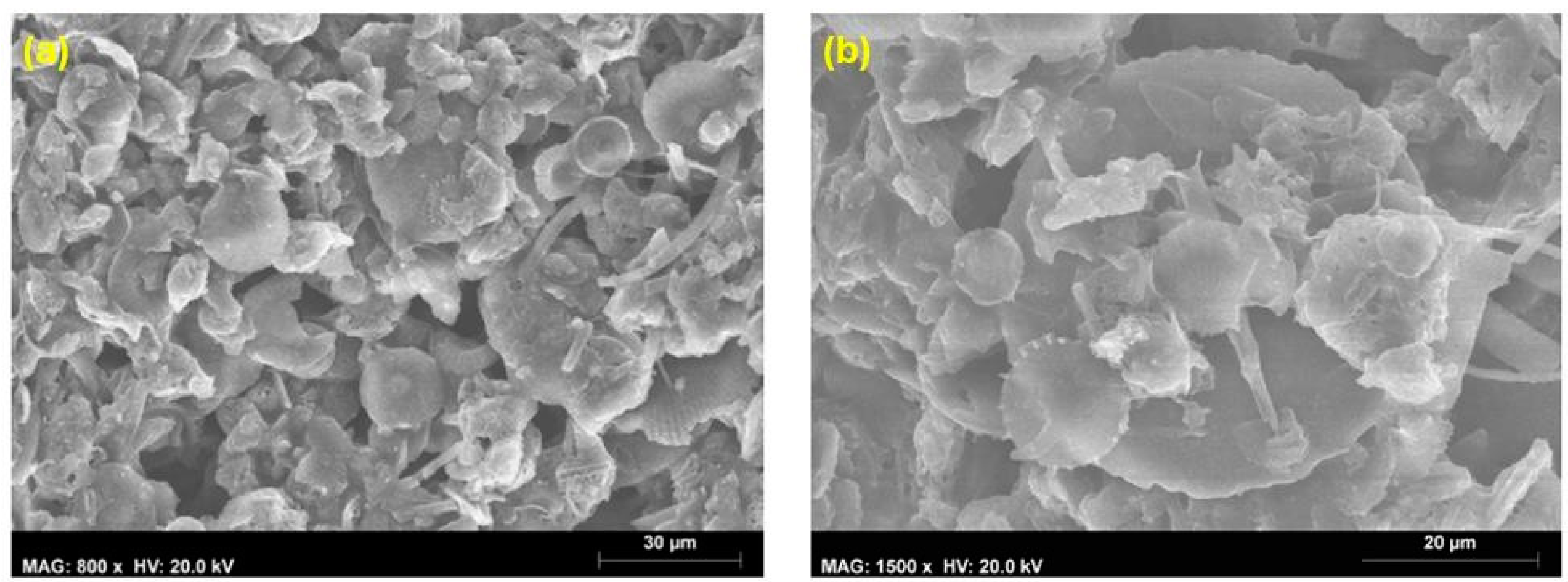 Coatings 14 00805 g013