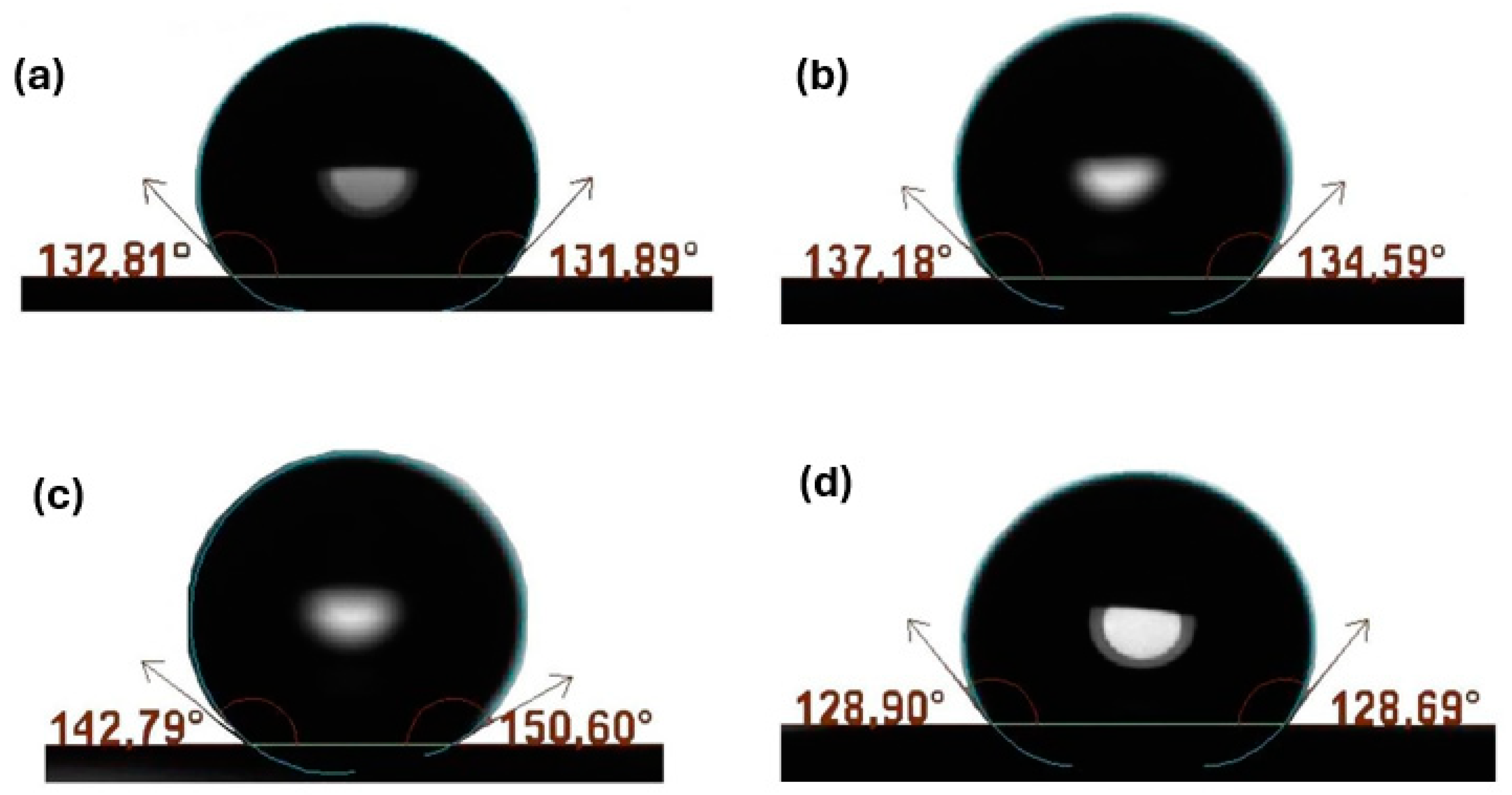 Coatings 14 00805 g016