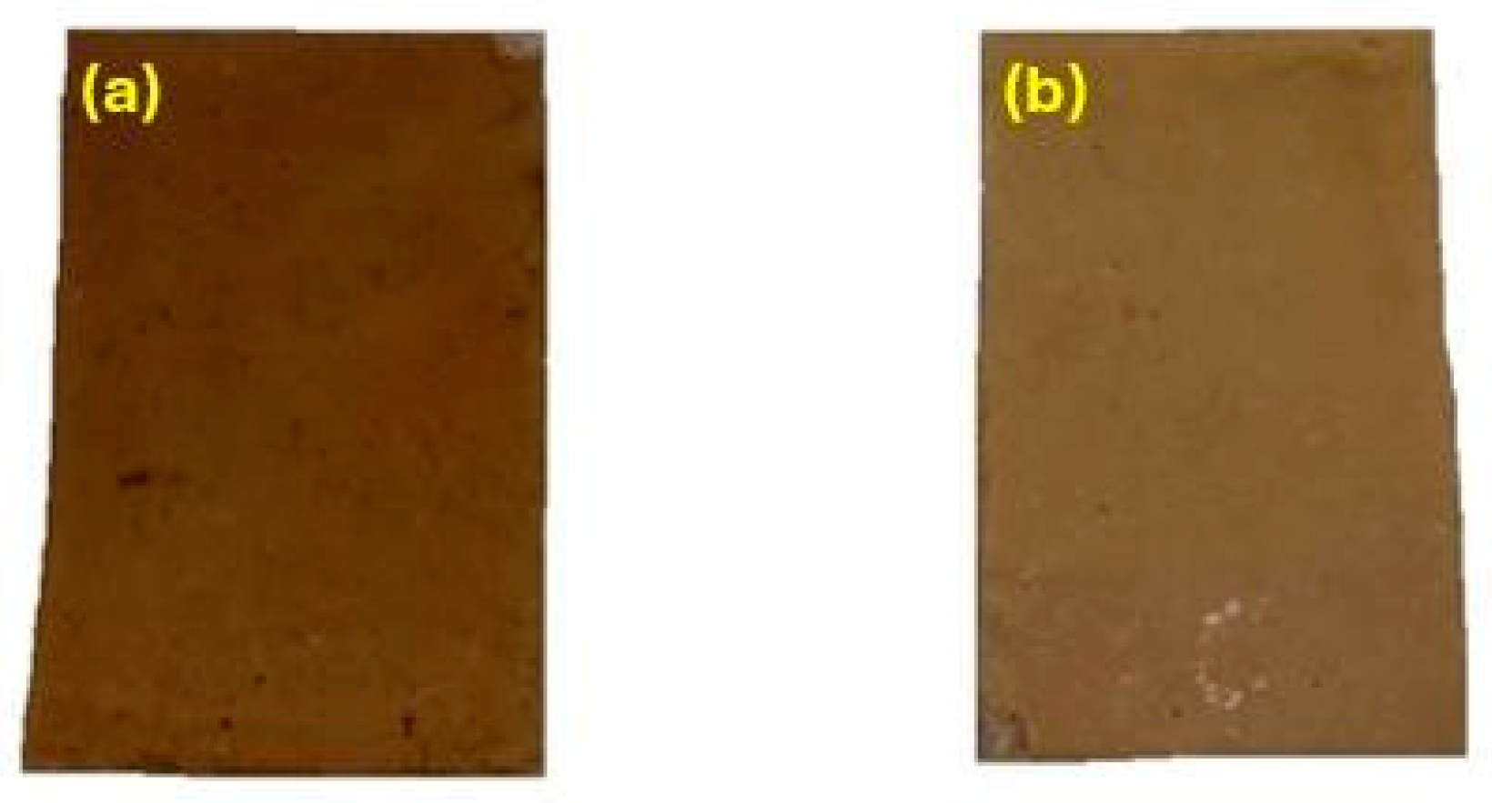 Coatings 14 00805 g027