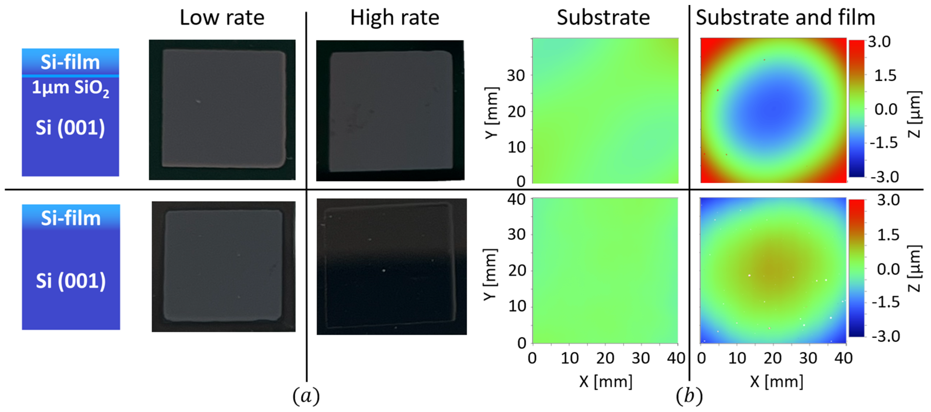Coatings 14 00808 g004