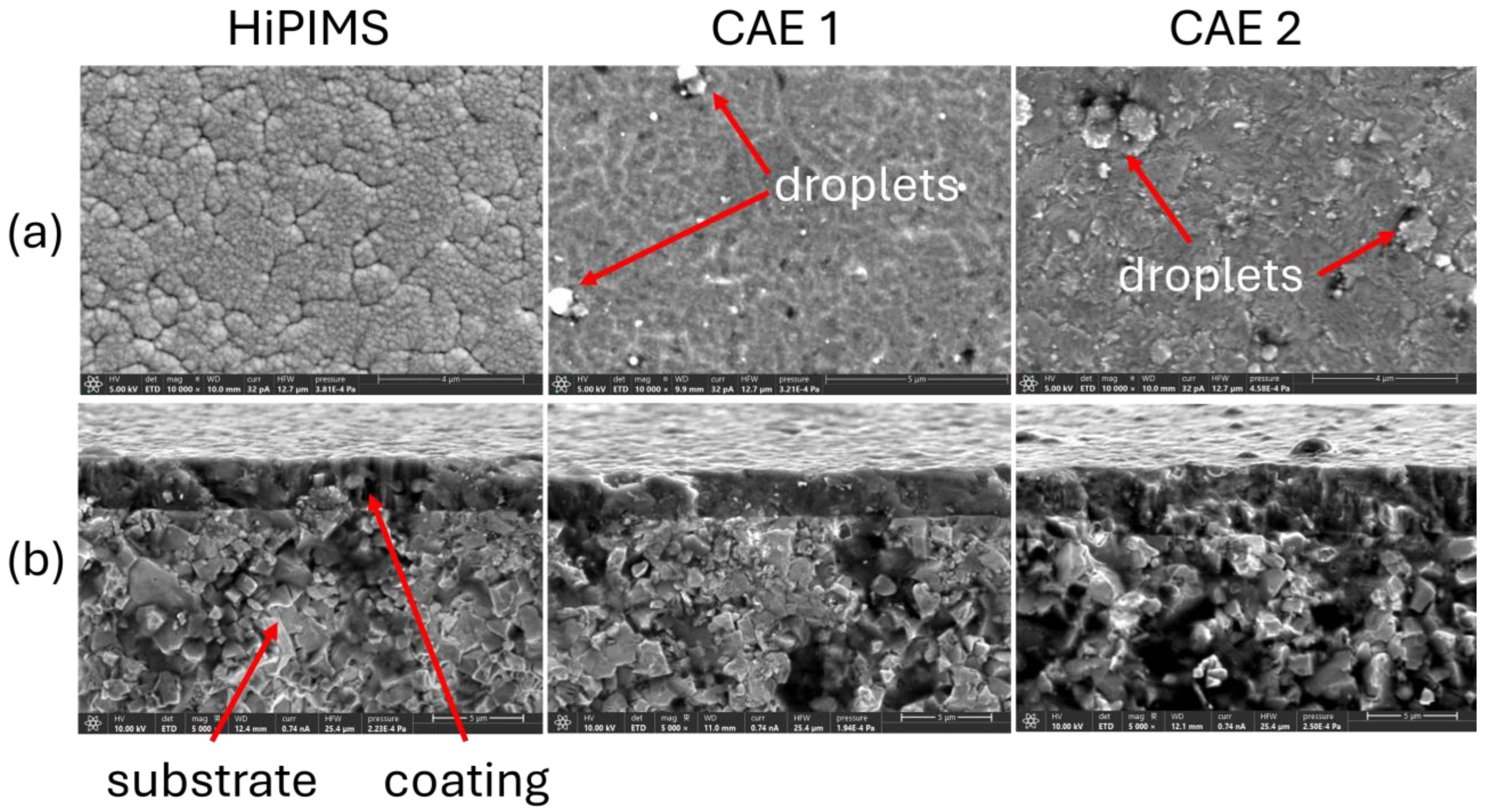 Coatings 14 00811 g002