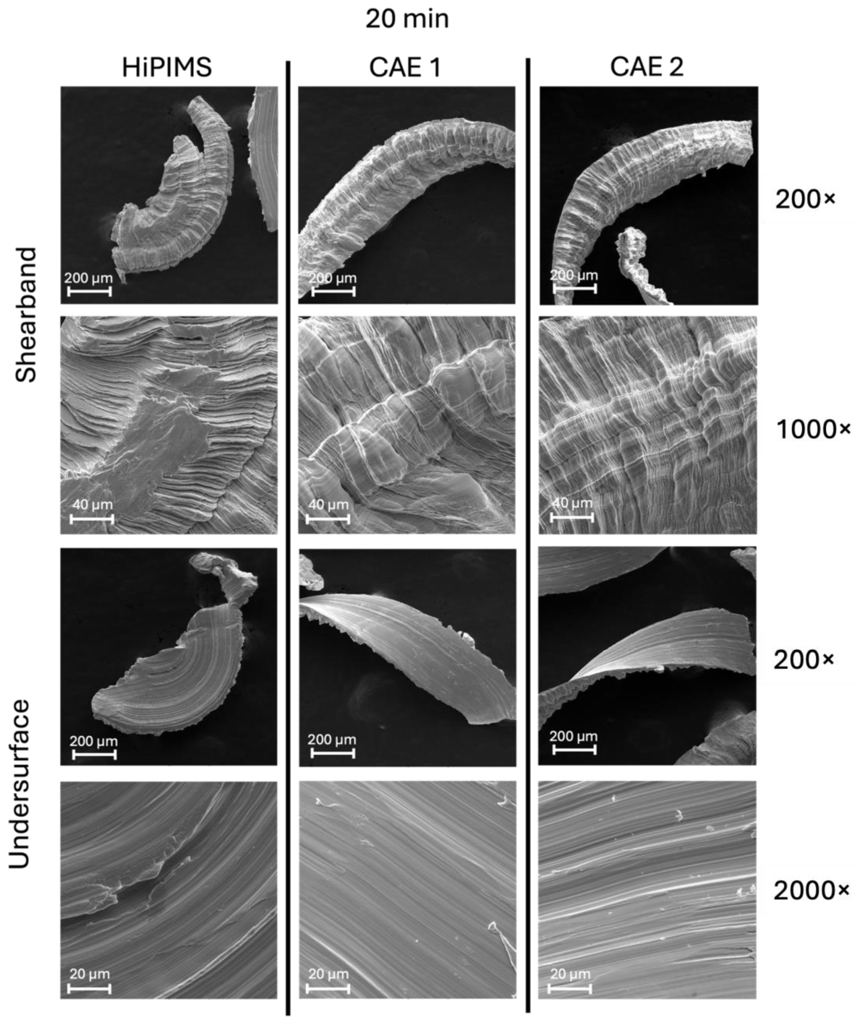 Coatings 14 00811 g016