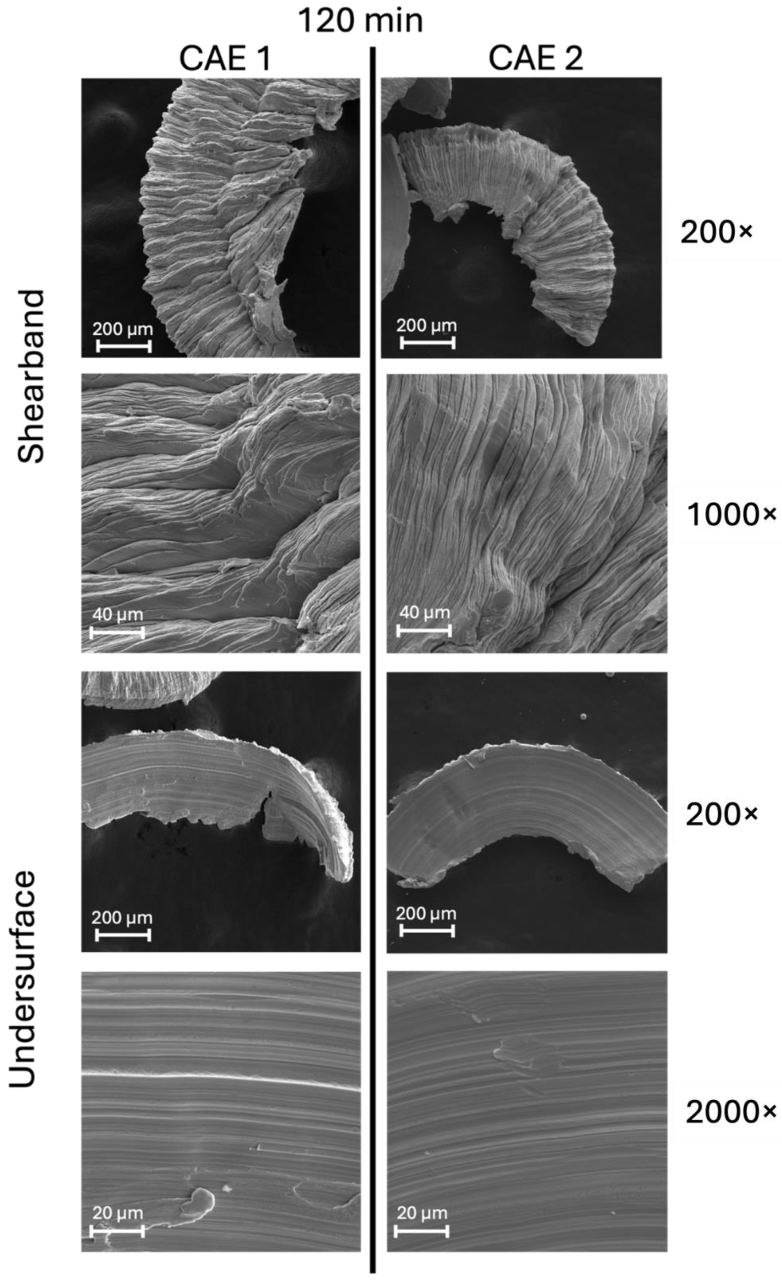 Coatings 14 00811 g017