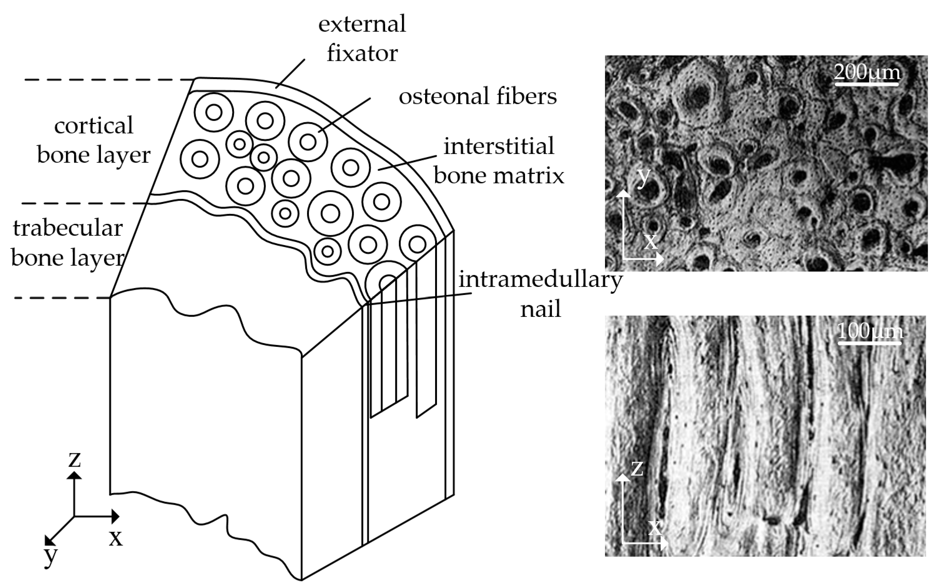 Coatings 14 00812 g001