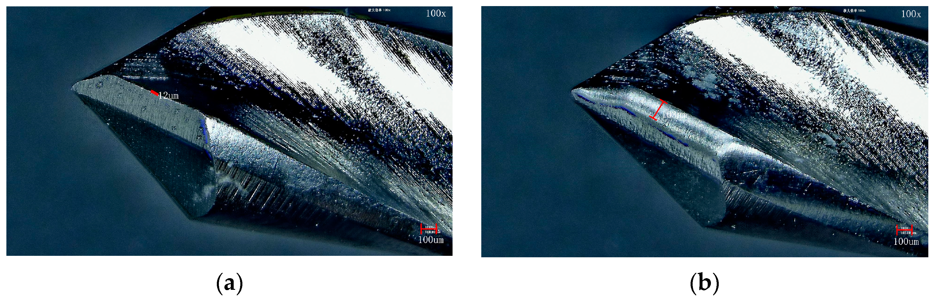 Coatings 14 00812 g010