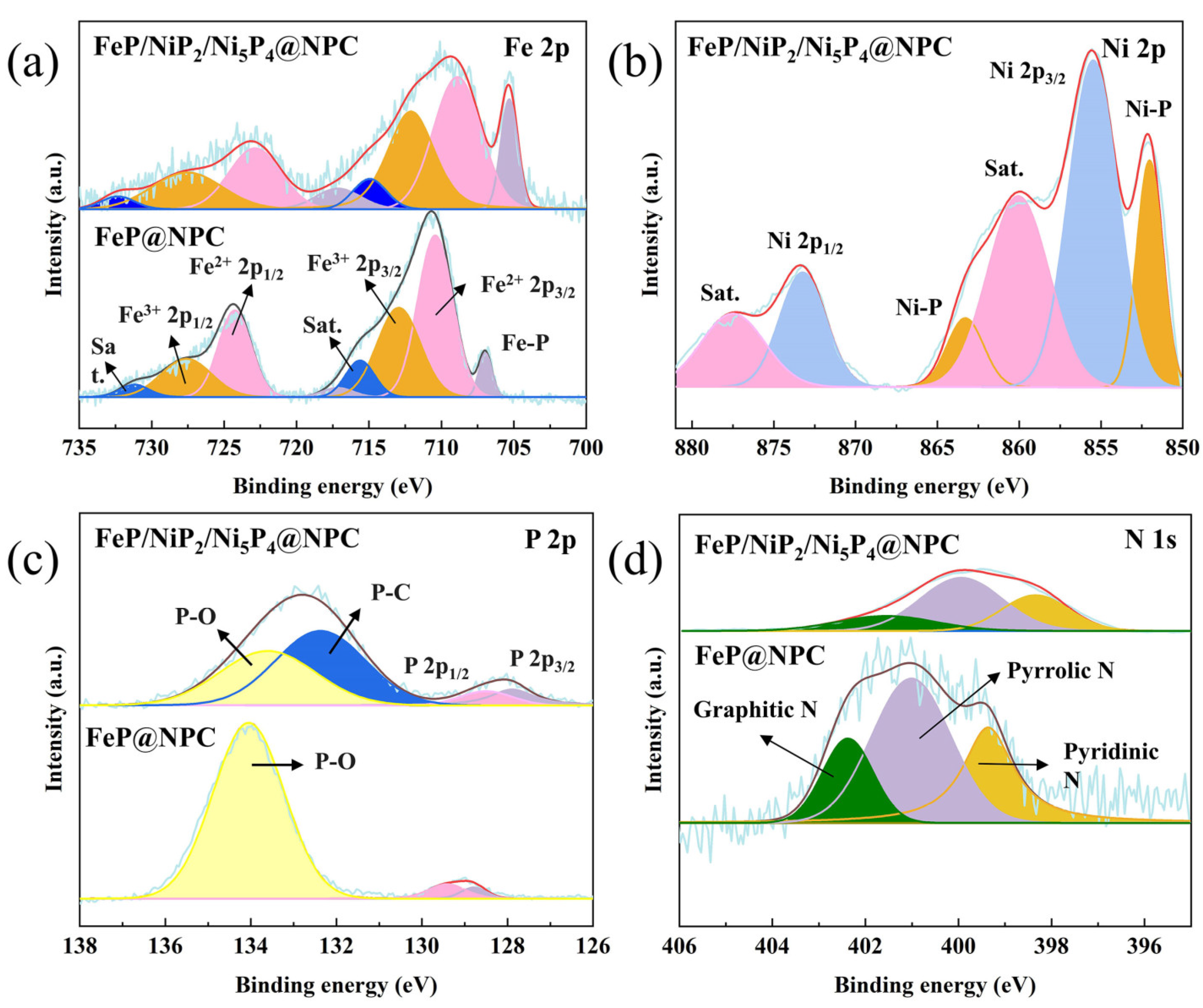 Coatings 14 00817 g004