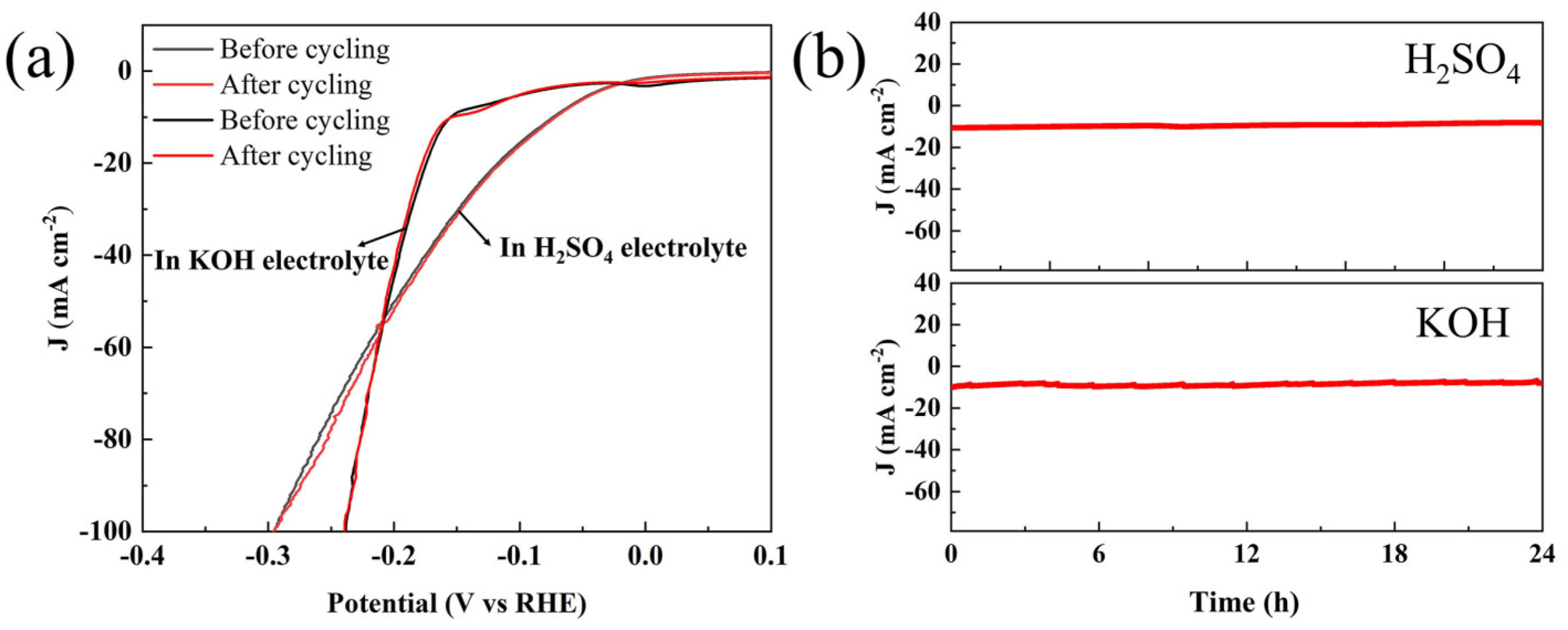 Coatings 14 00817 g007
