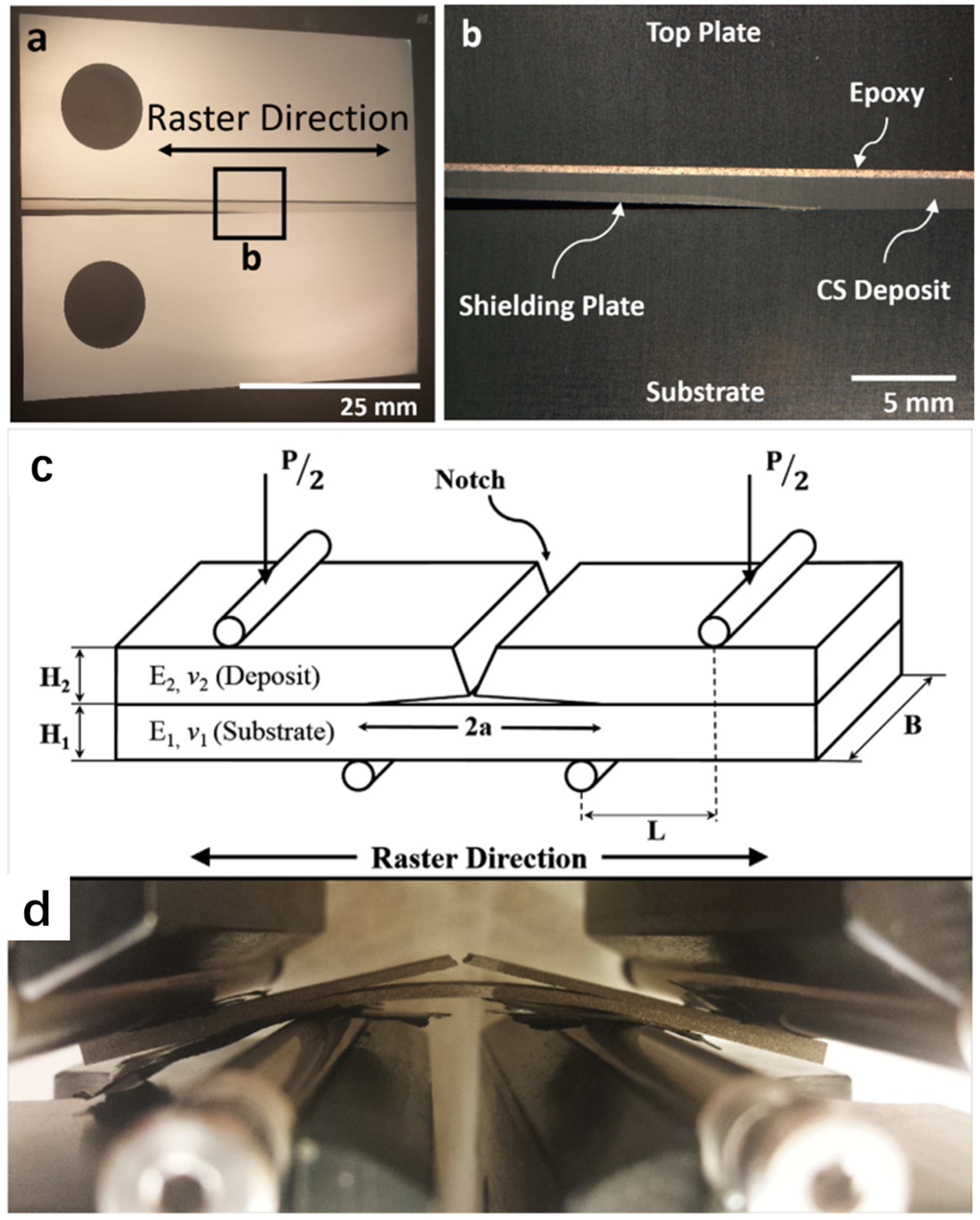 Coatings 14 00822 g005