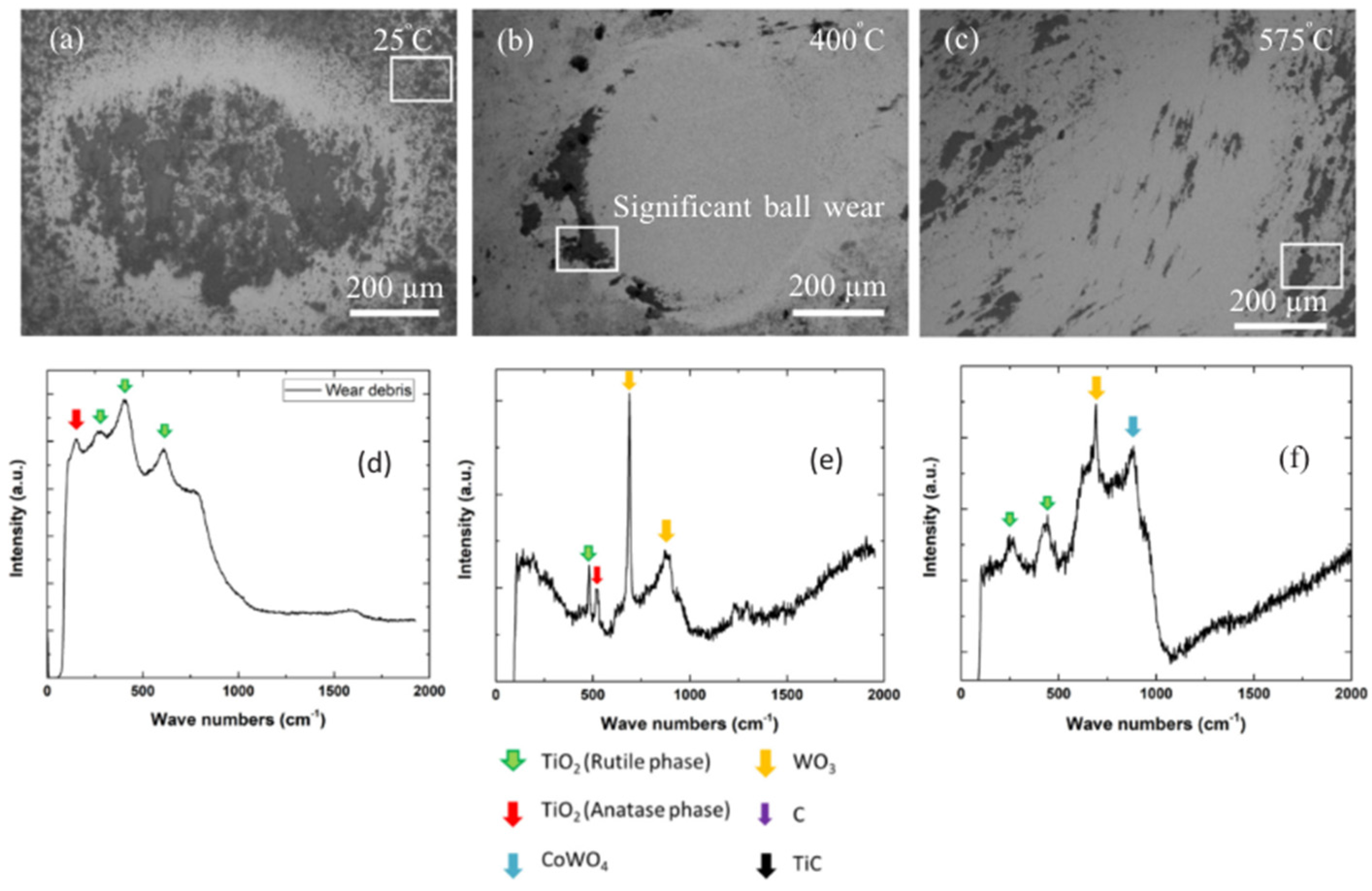Coatings 14 00822 g016