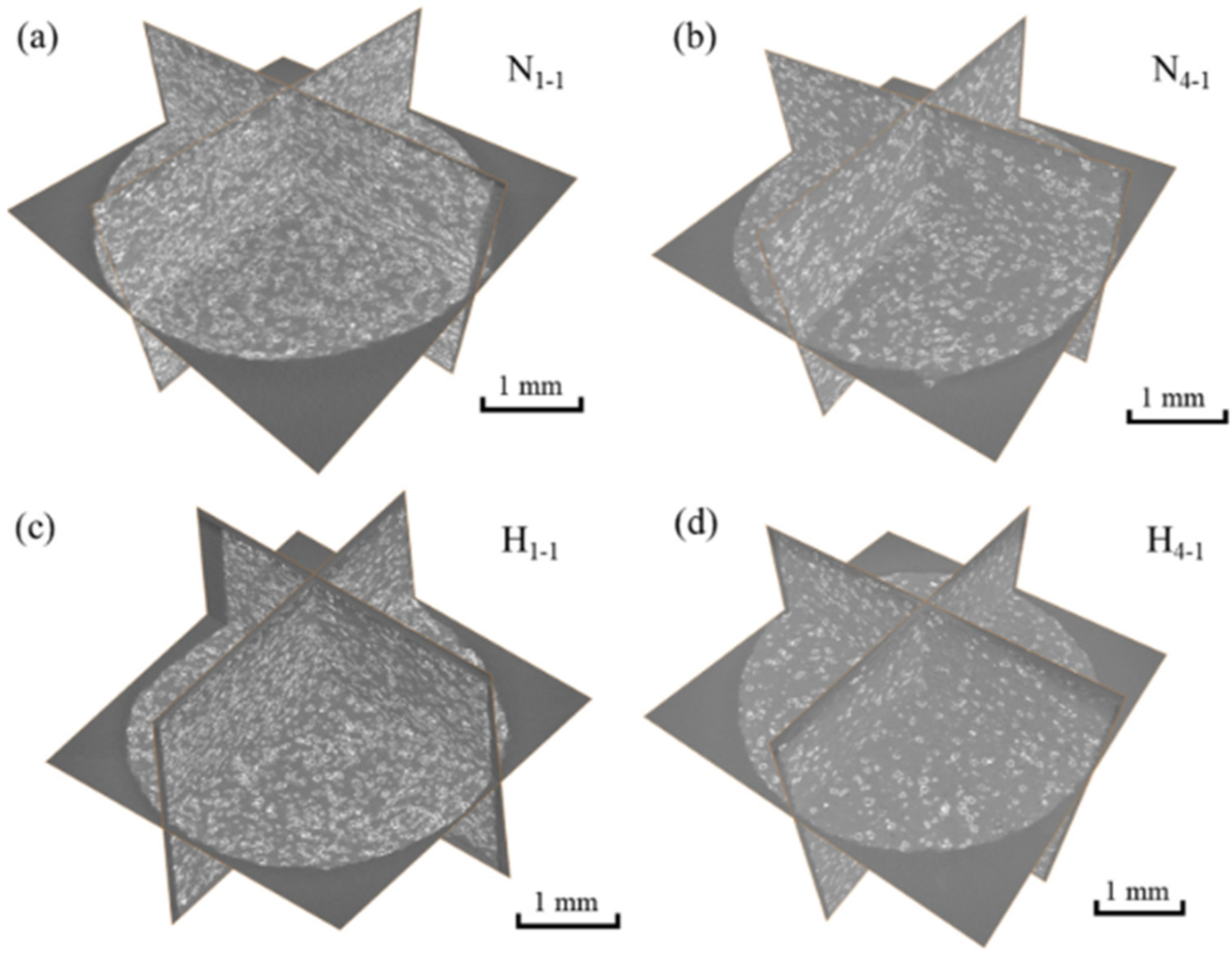 Coatings 14 00822 g018