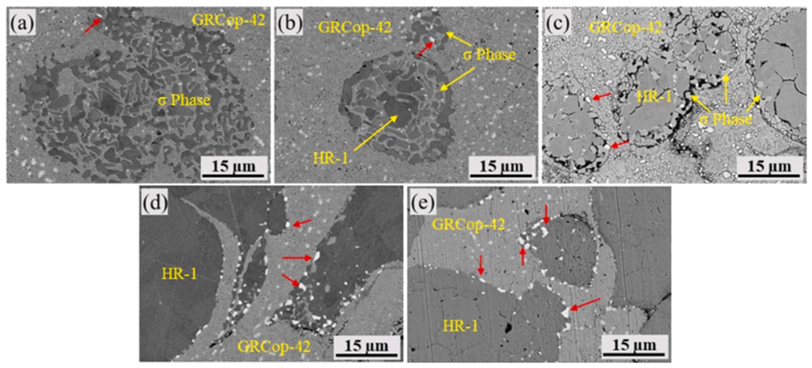 Coatings 14 00822 g019