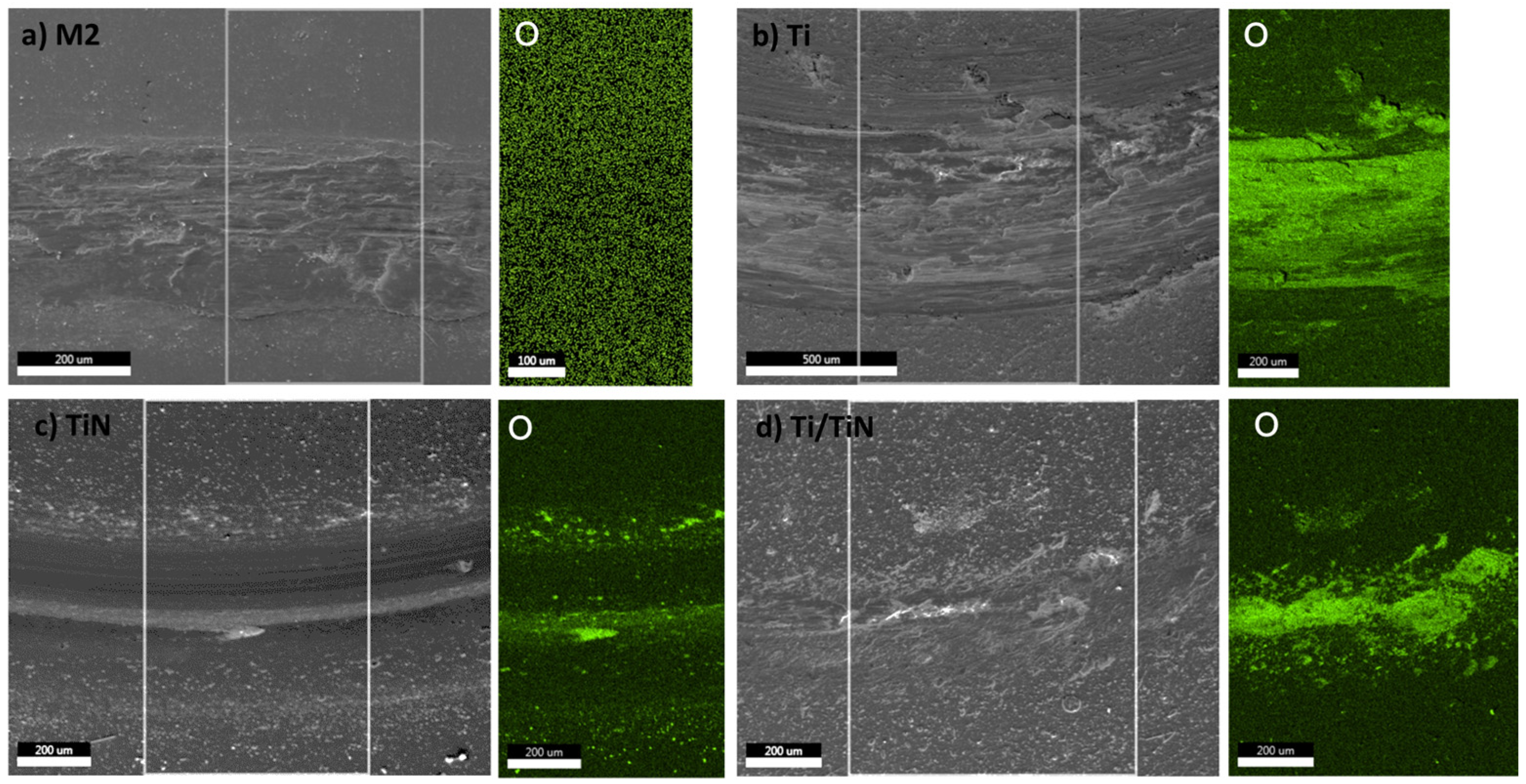 Coatings 14 00823 g011