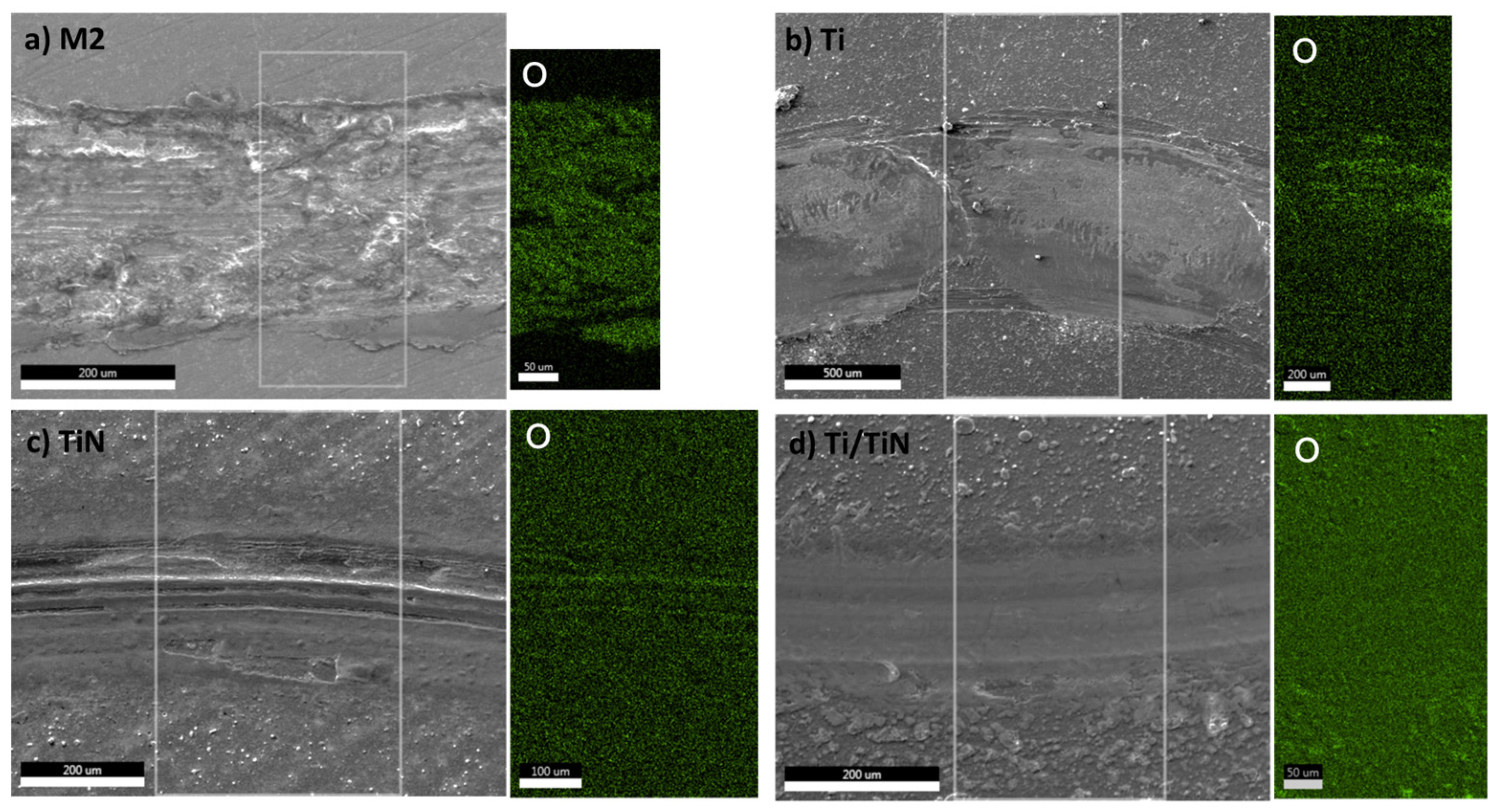 Coatings 14 00823 g015