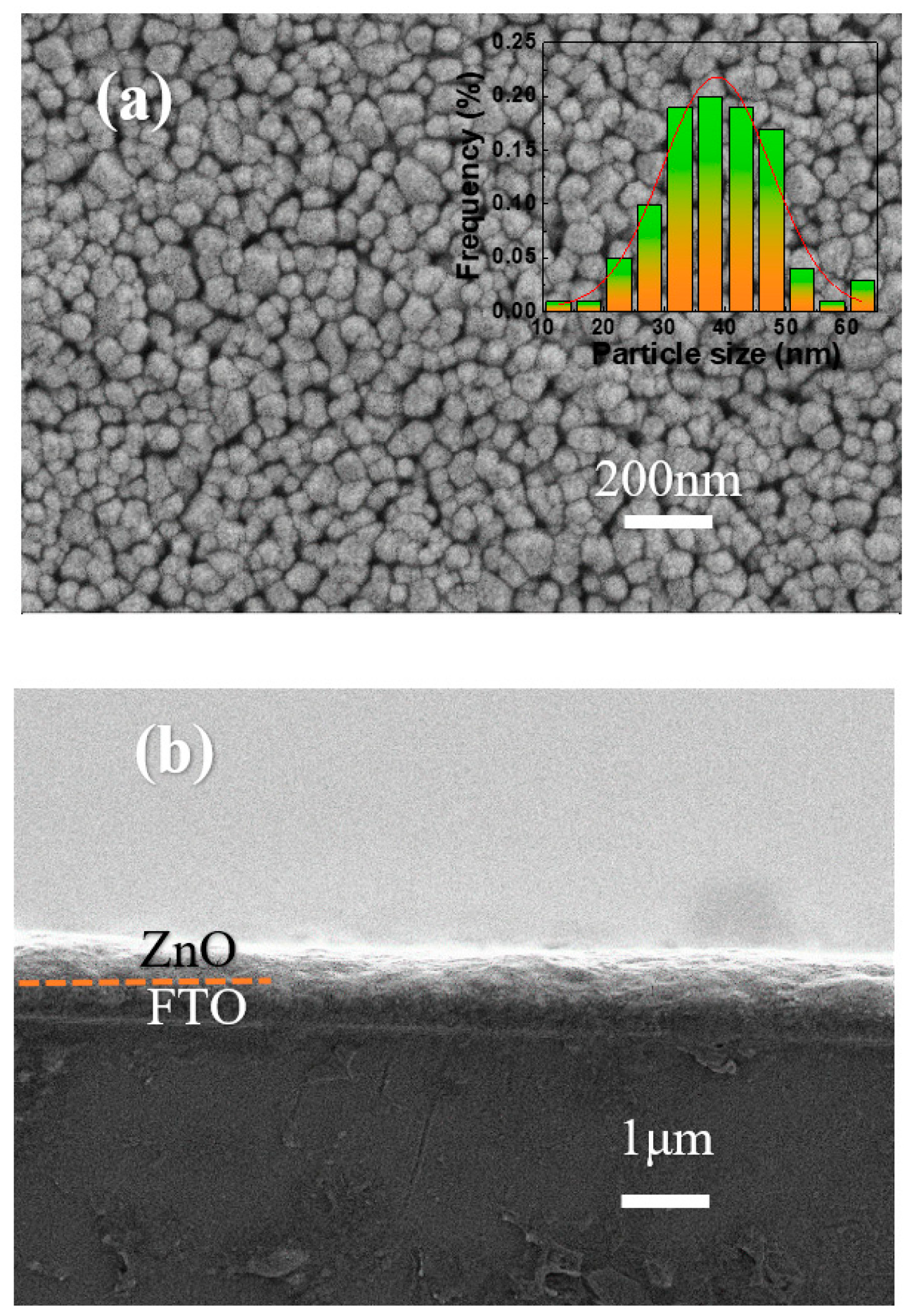 Coatings 14 00824 g002