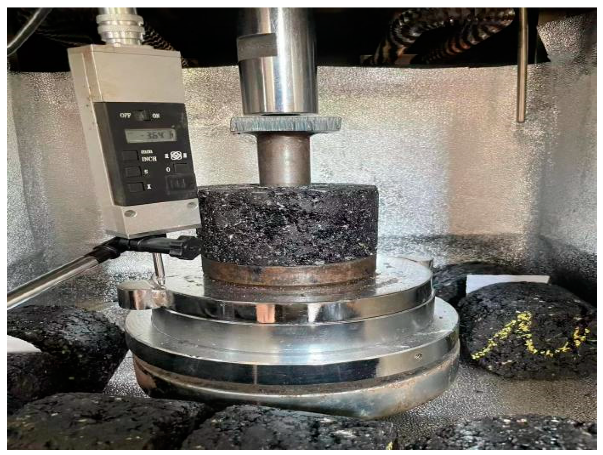 Coatings 14 00825 g010