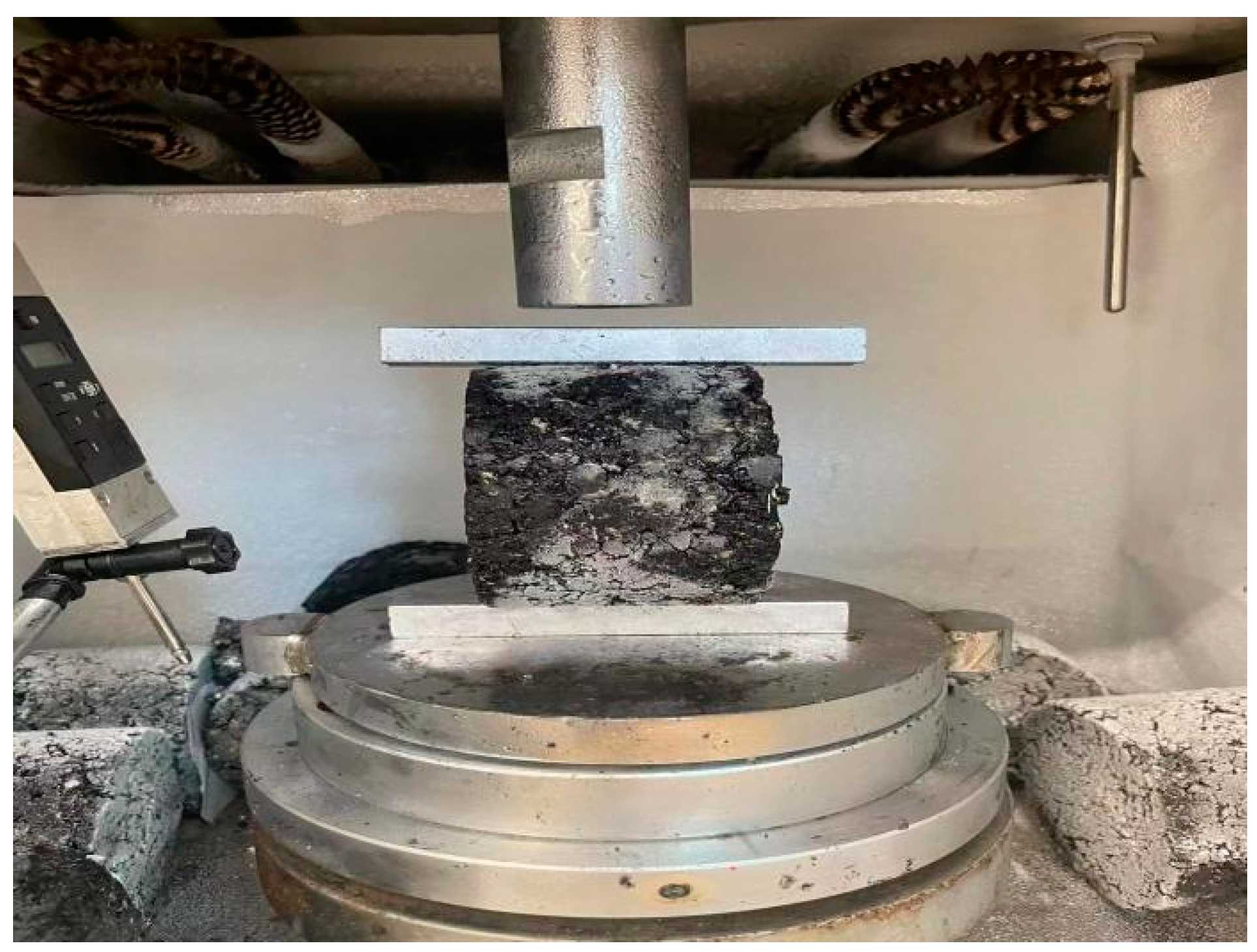 Coatings 14 00825 g011